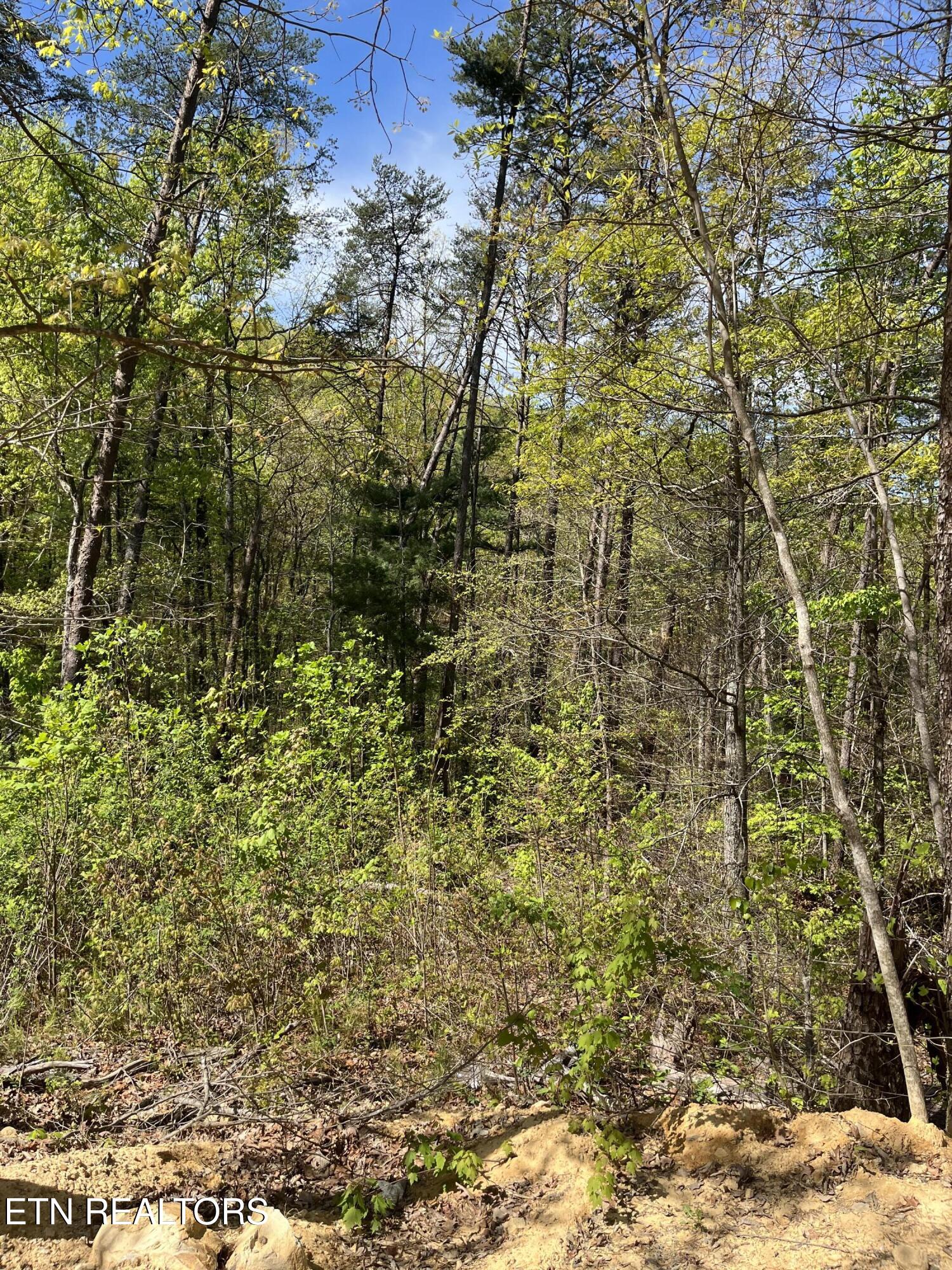124 Indian Ridge Tellico Plains TN 37385