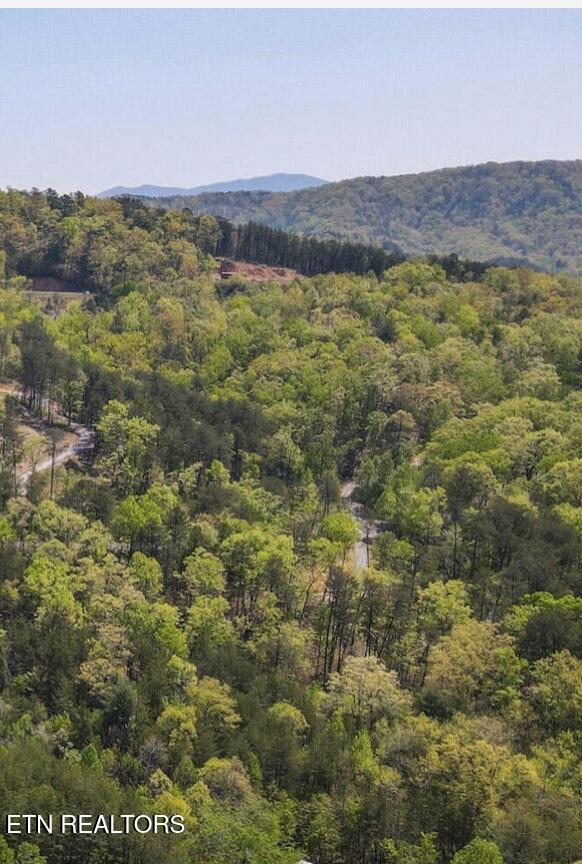 124 Indian Ridge Tellico Plains TN 37385