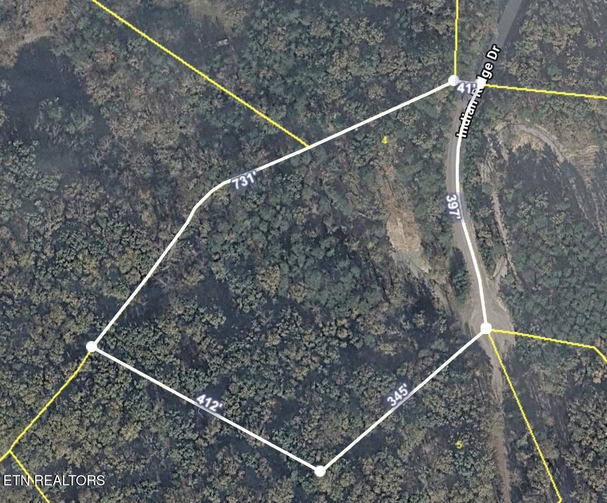 124 Indian Ridge Tellico Plains TN 37385
