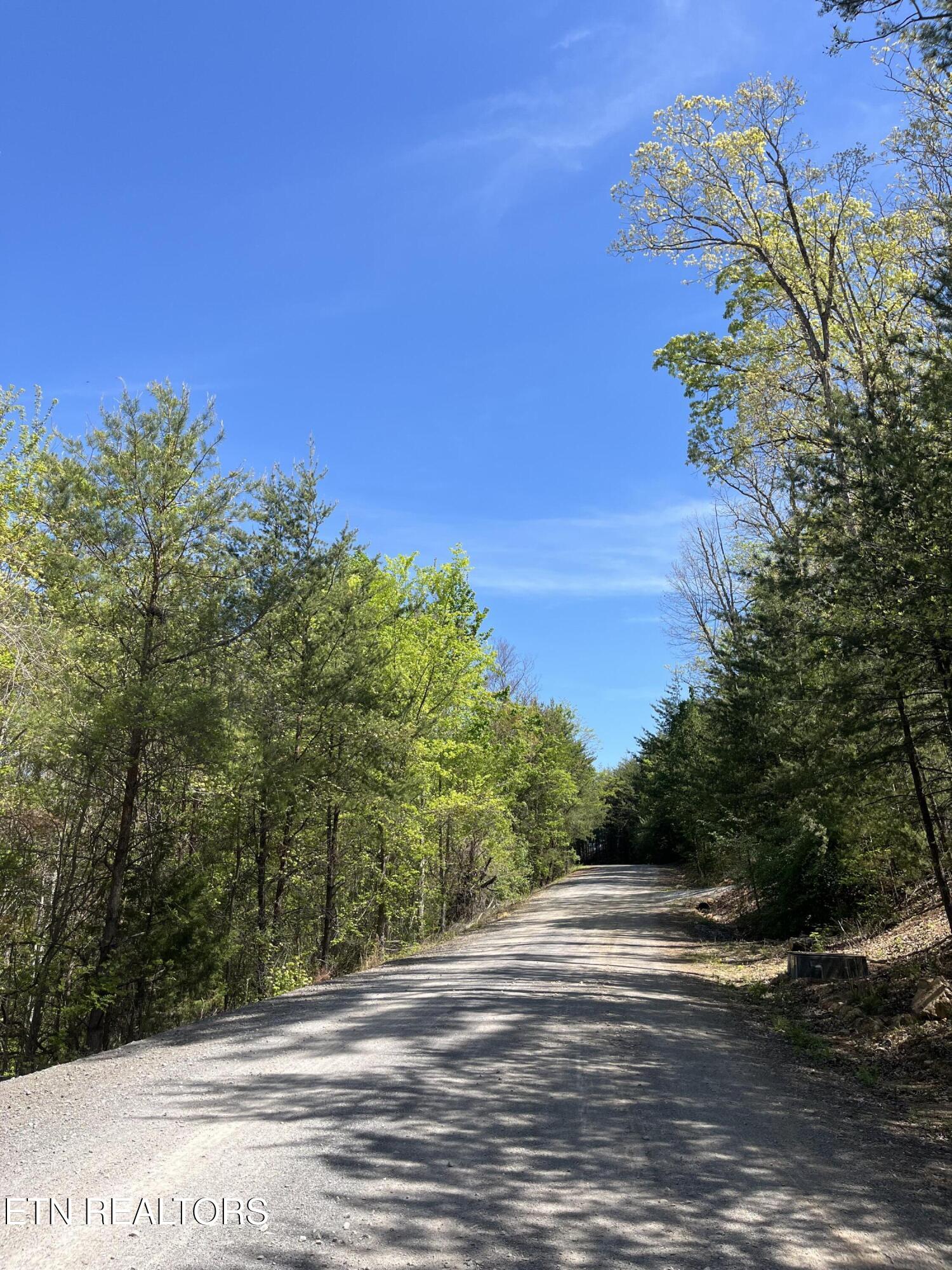 124 Indian Ridge Tellico Plains TN 37385