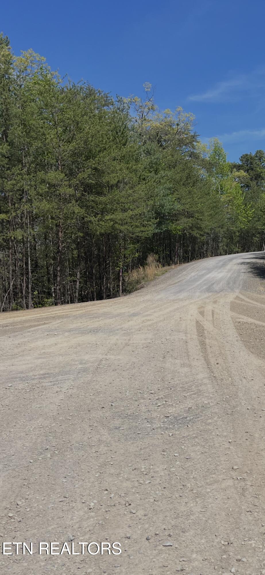 124 Indian Ridge Tellico Plains TN 37385