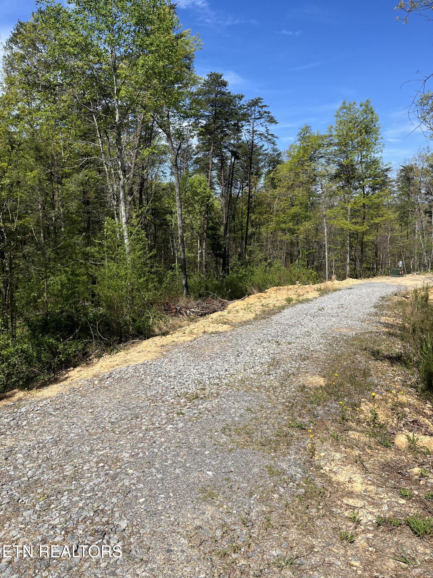 124 Indian Ridge Tellico Plains TN 37385