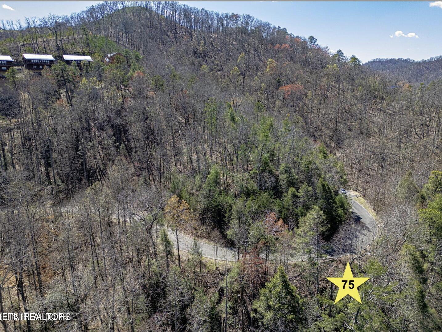 Lot #75 Smoky Ridge Way Sevierville TN 37862