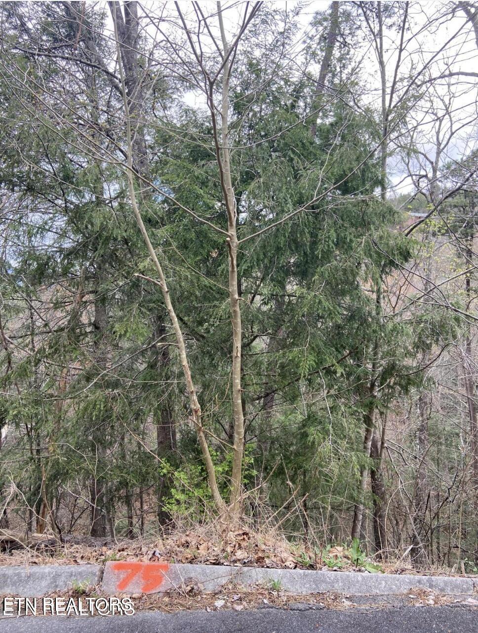 Lot #75 Smoky Ridge Way Sevierville TN 37862