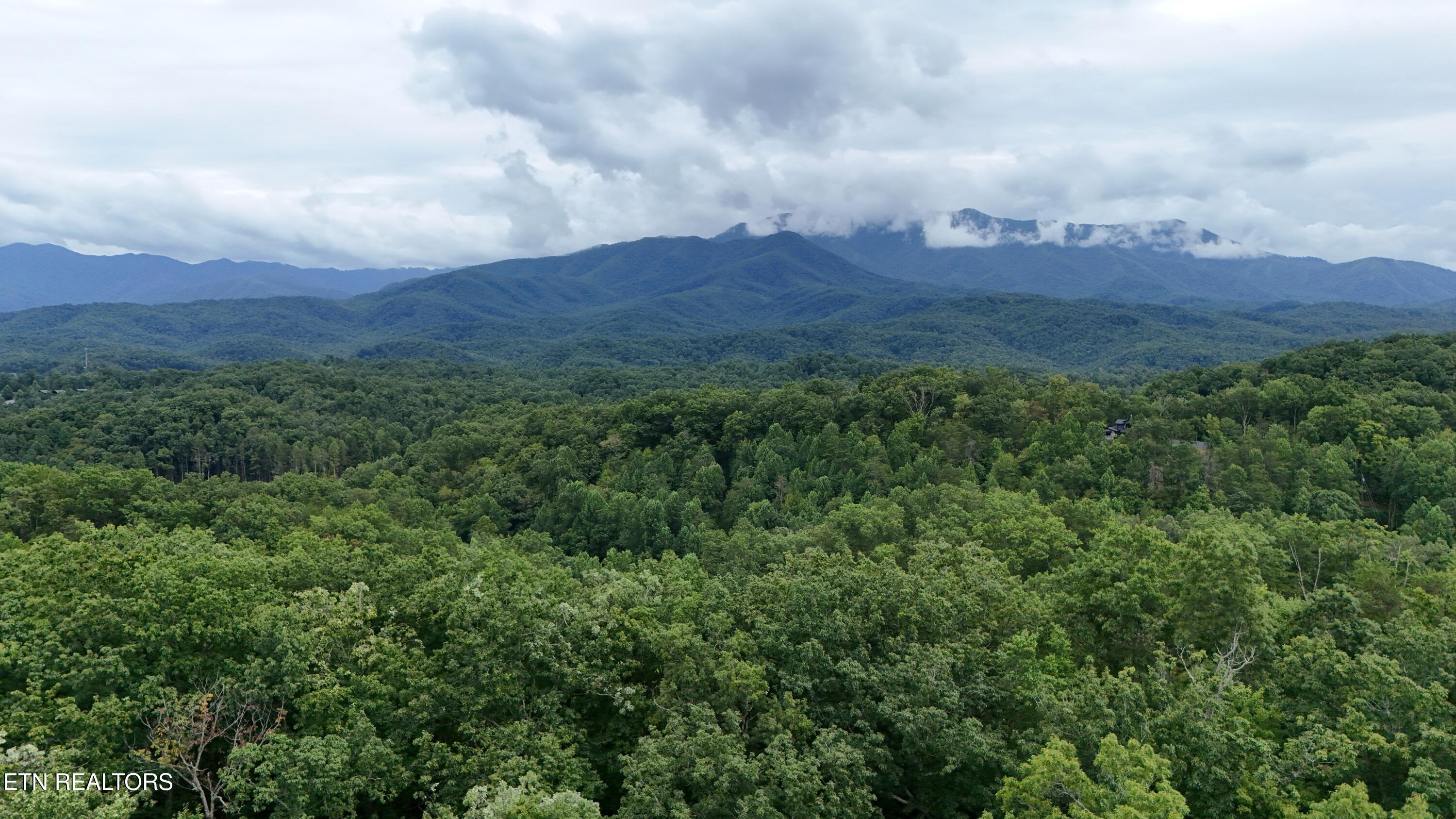 30, 31, 32 N Highland Drive Gatlinburg TN 37738