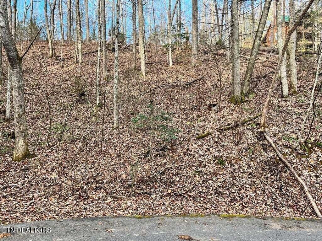30, 31, 32 N Highland Drive Gatlinburg TN 37738