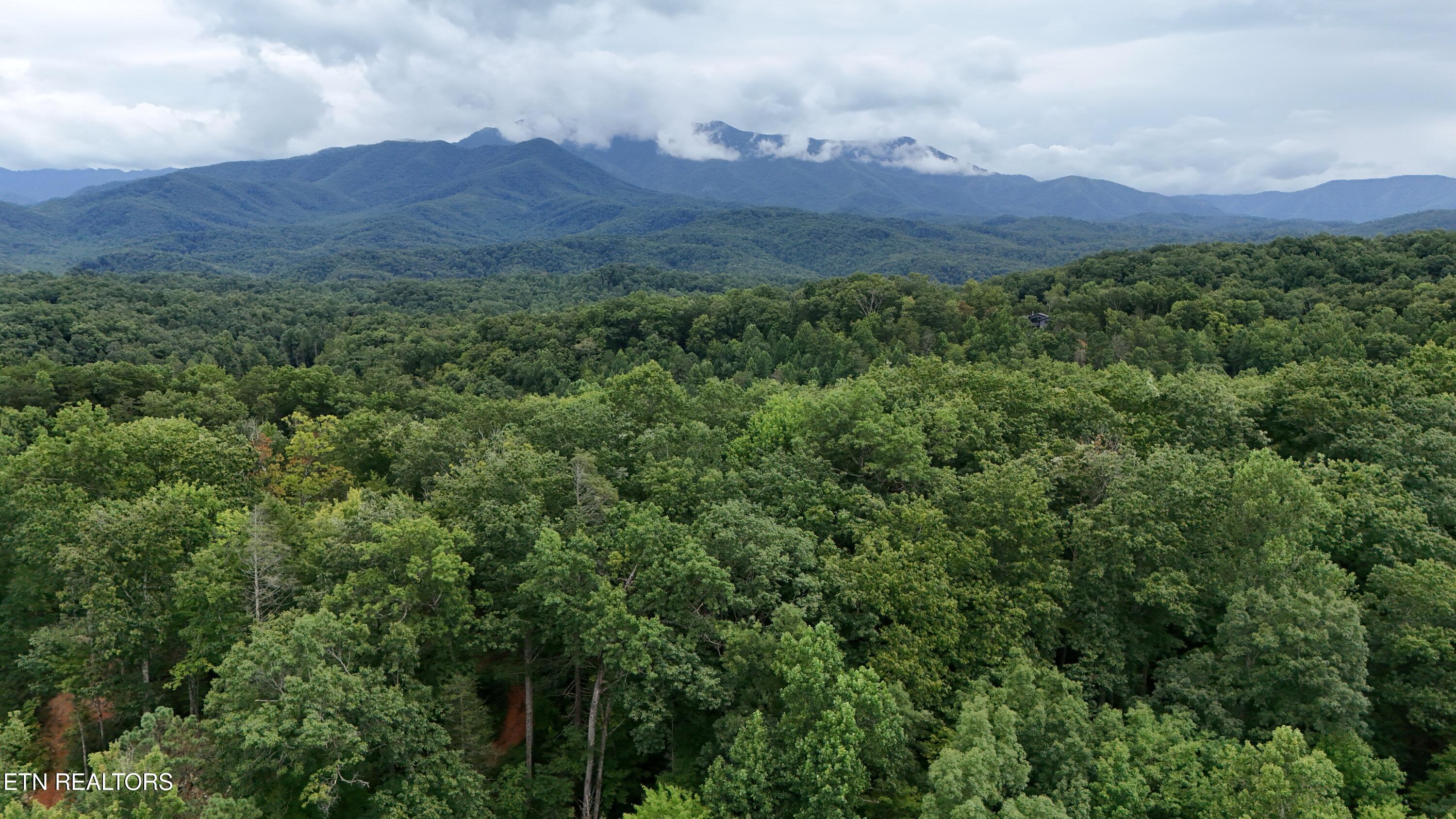 30, 31, 32 N Highland Drive Gatlinburg TN 37738