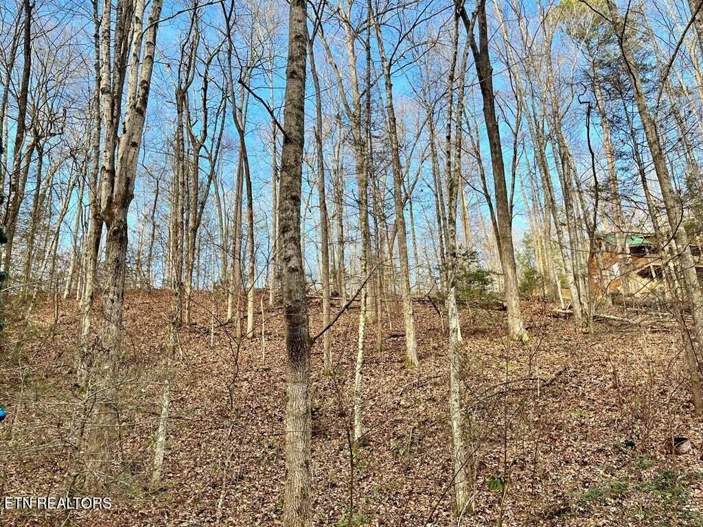 30, 31, 32 N Highland Drive Gatlinburg TN 37738