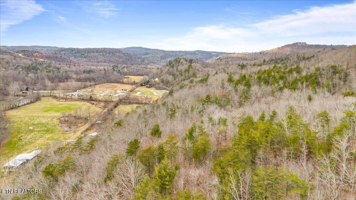 Brimstone Road Robbins TN 37852