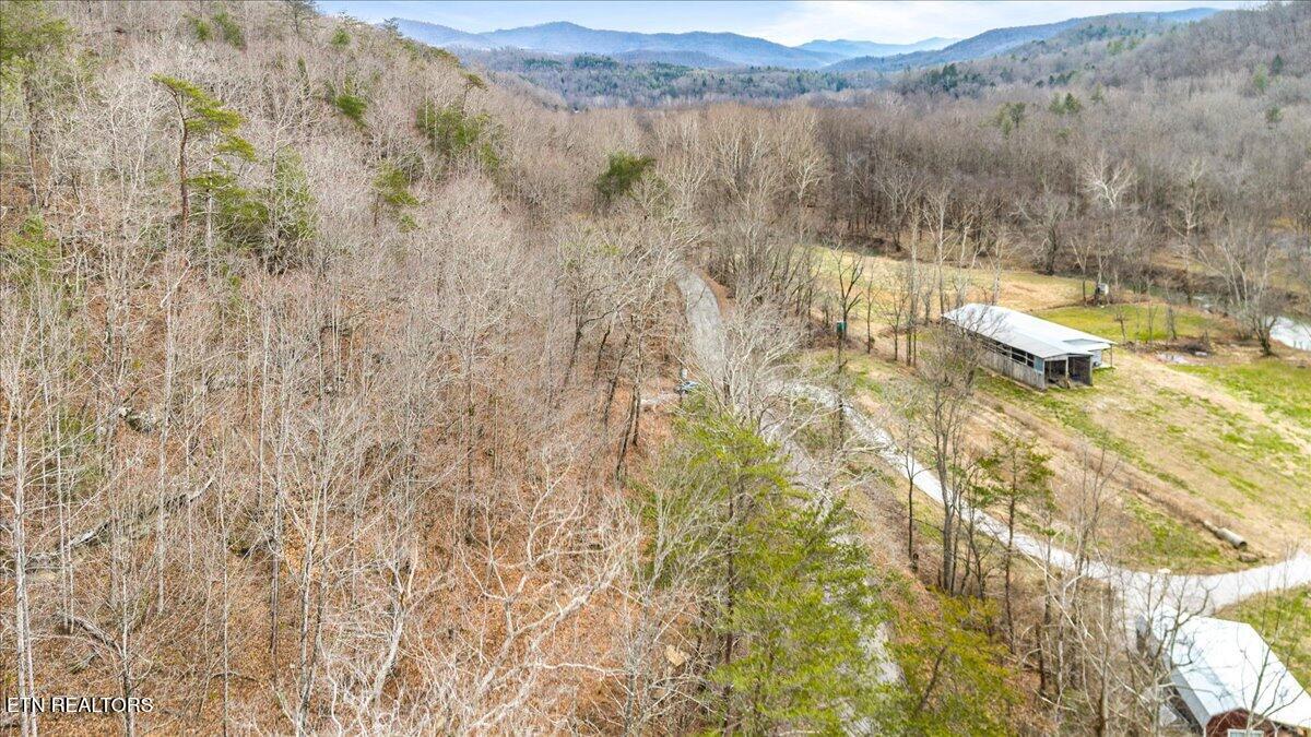 Brimstone Road Robbins TN 37852