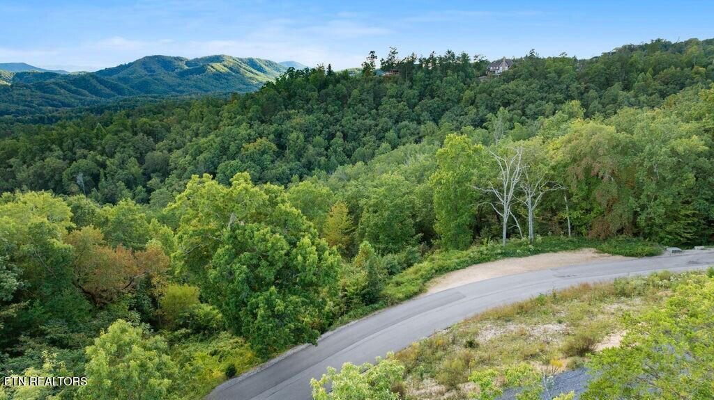 3065 Summit Trails Drive Sevierville TN 37862