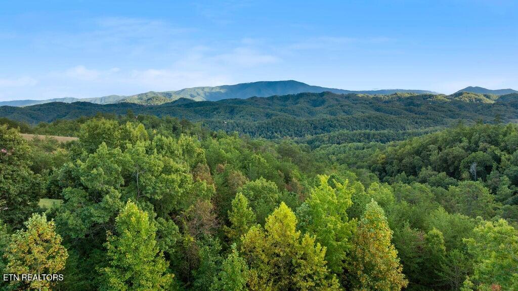 3065 Summit Trails Drive Sevierville TN 37862