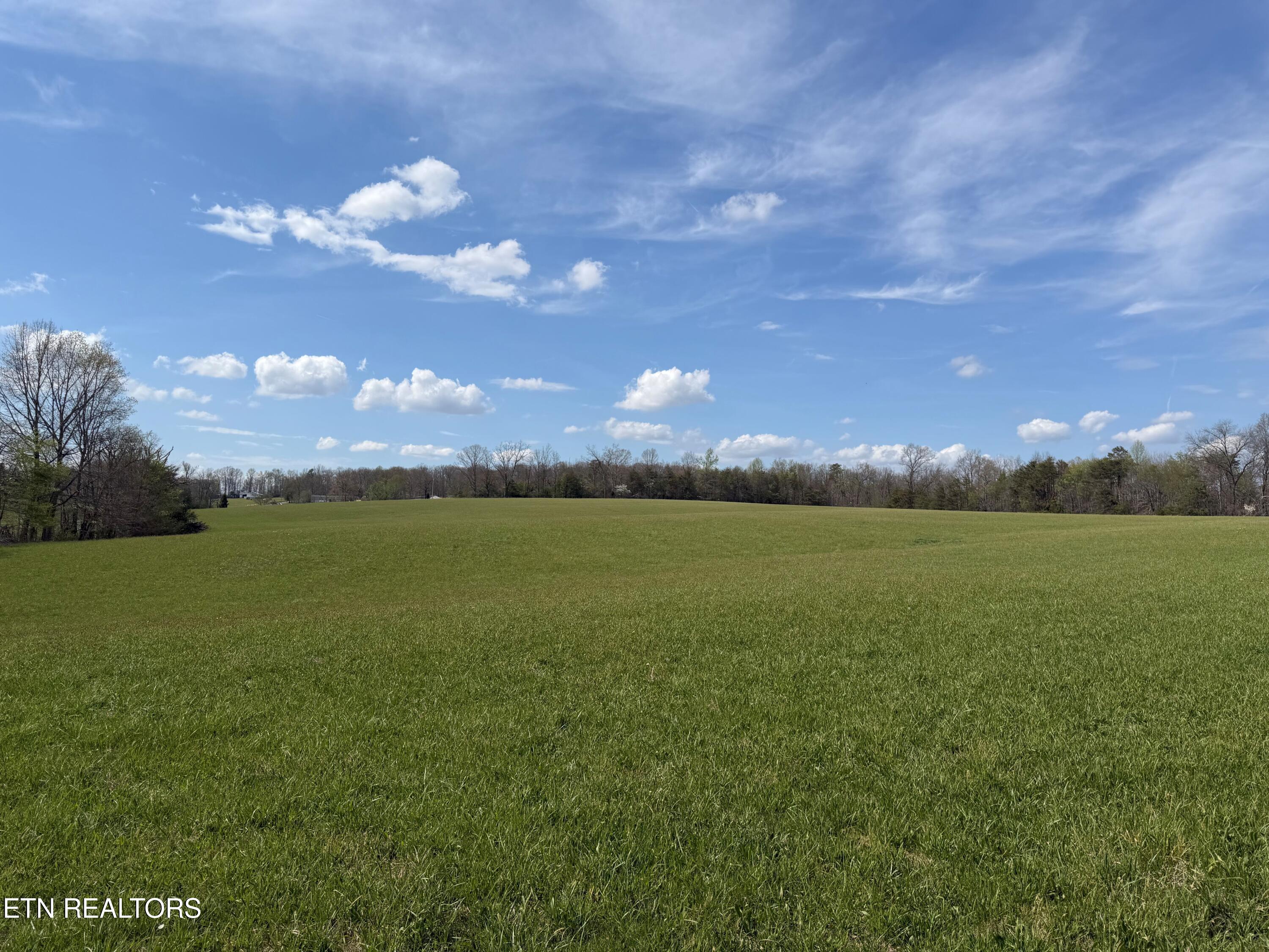 1342 Walt Reed Road Grandview TN 37337