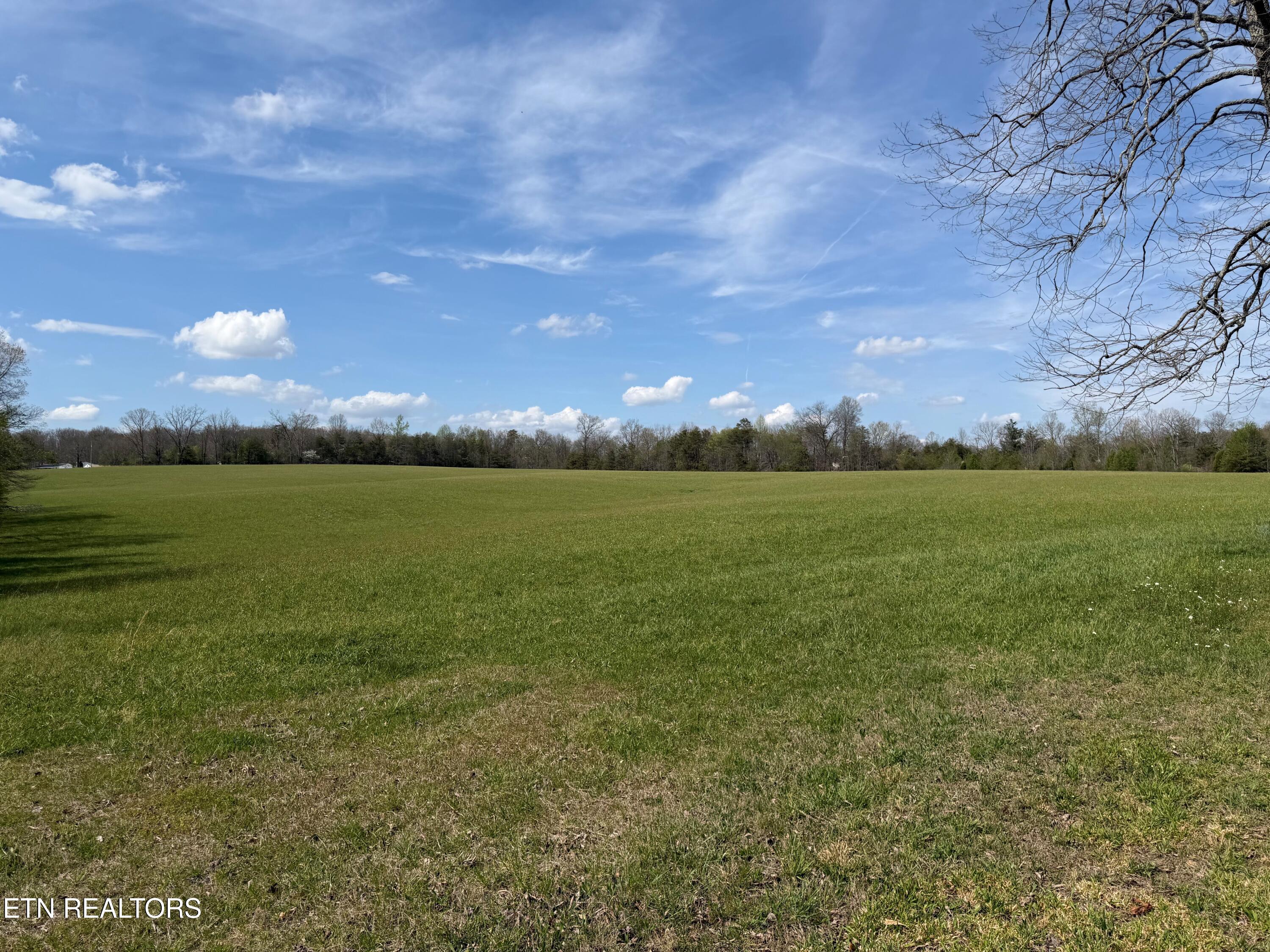 1342 Walt Reed Road Grandview TN 37337