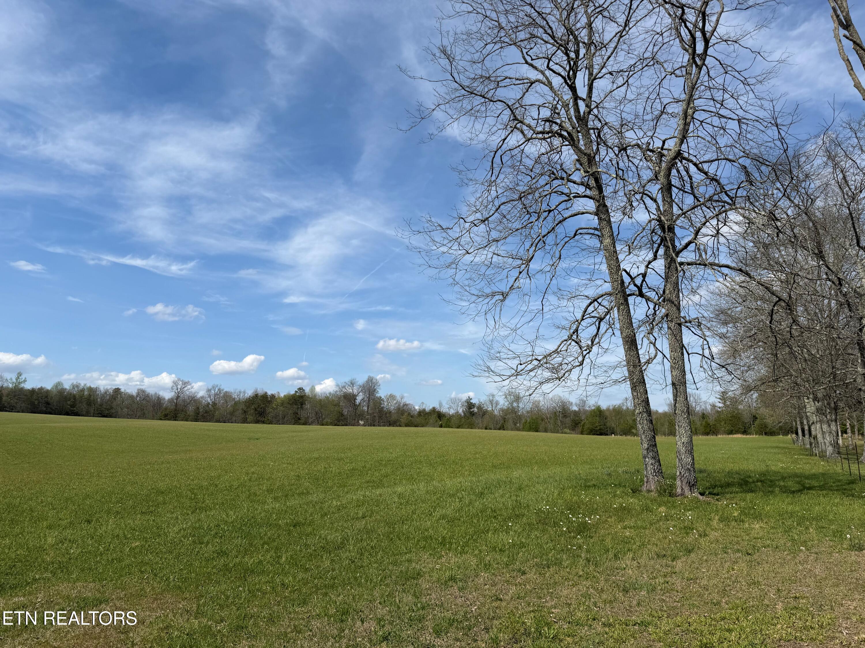 1342 Walt Reed Road Grandview TN 37337