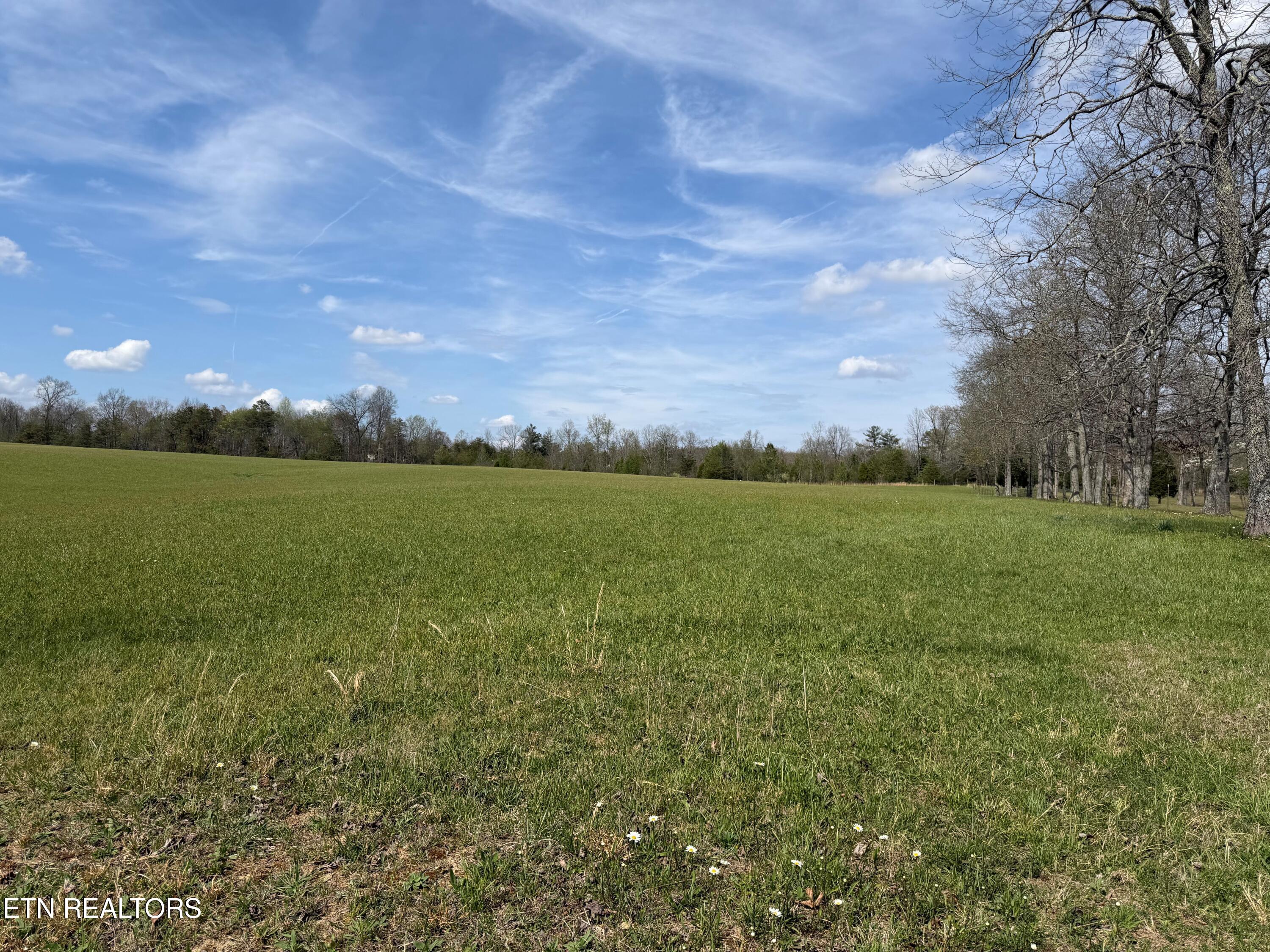 1342 Walt Reed Road Grandview TN 37337