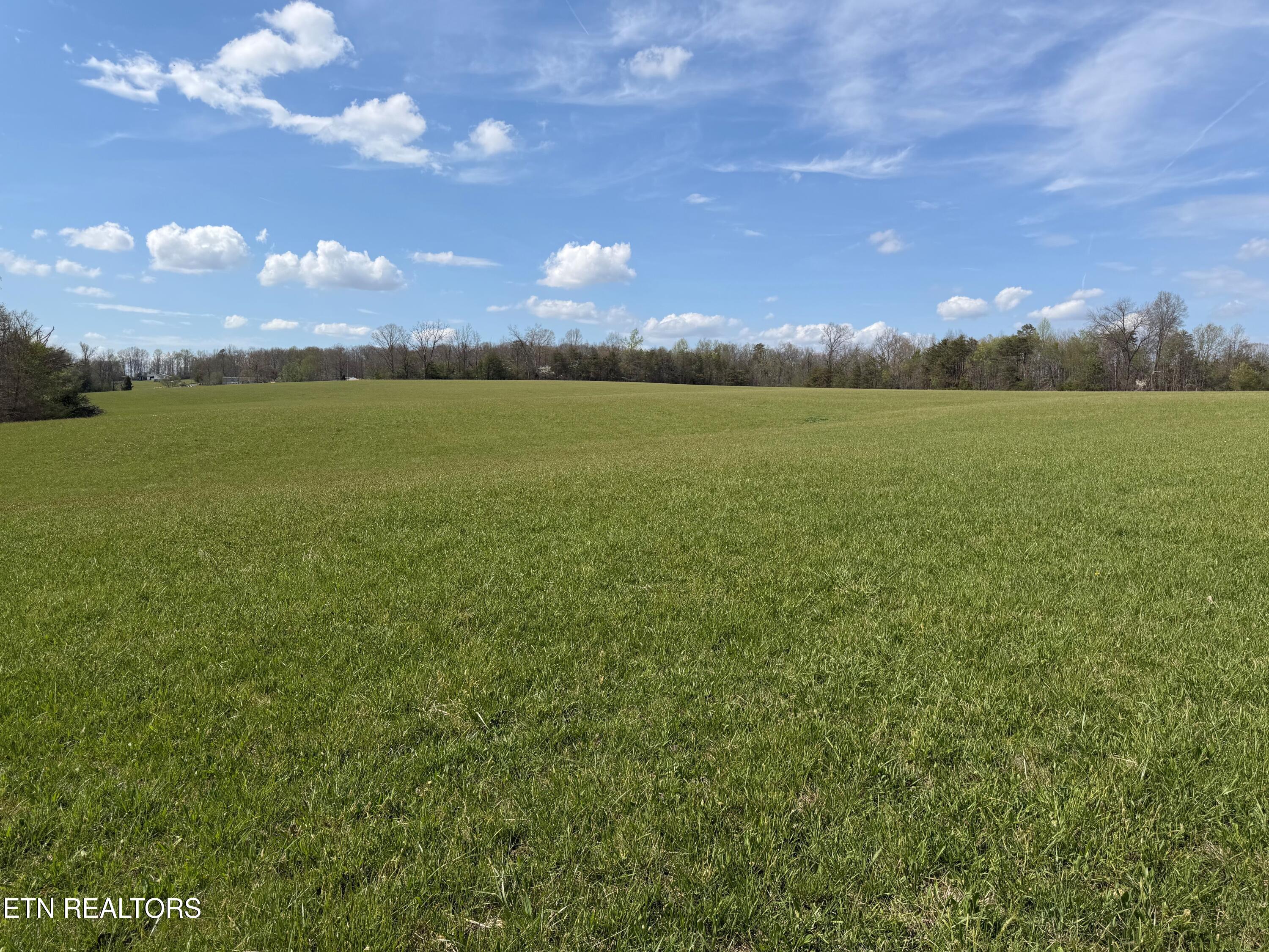 1342 Walt Reed Road Grandview TN 37337
