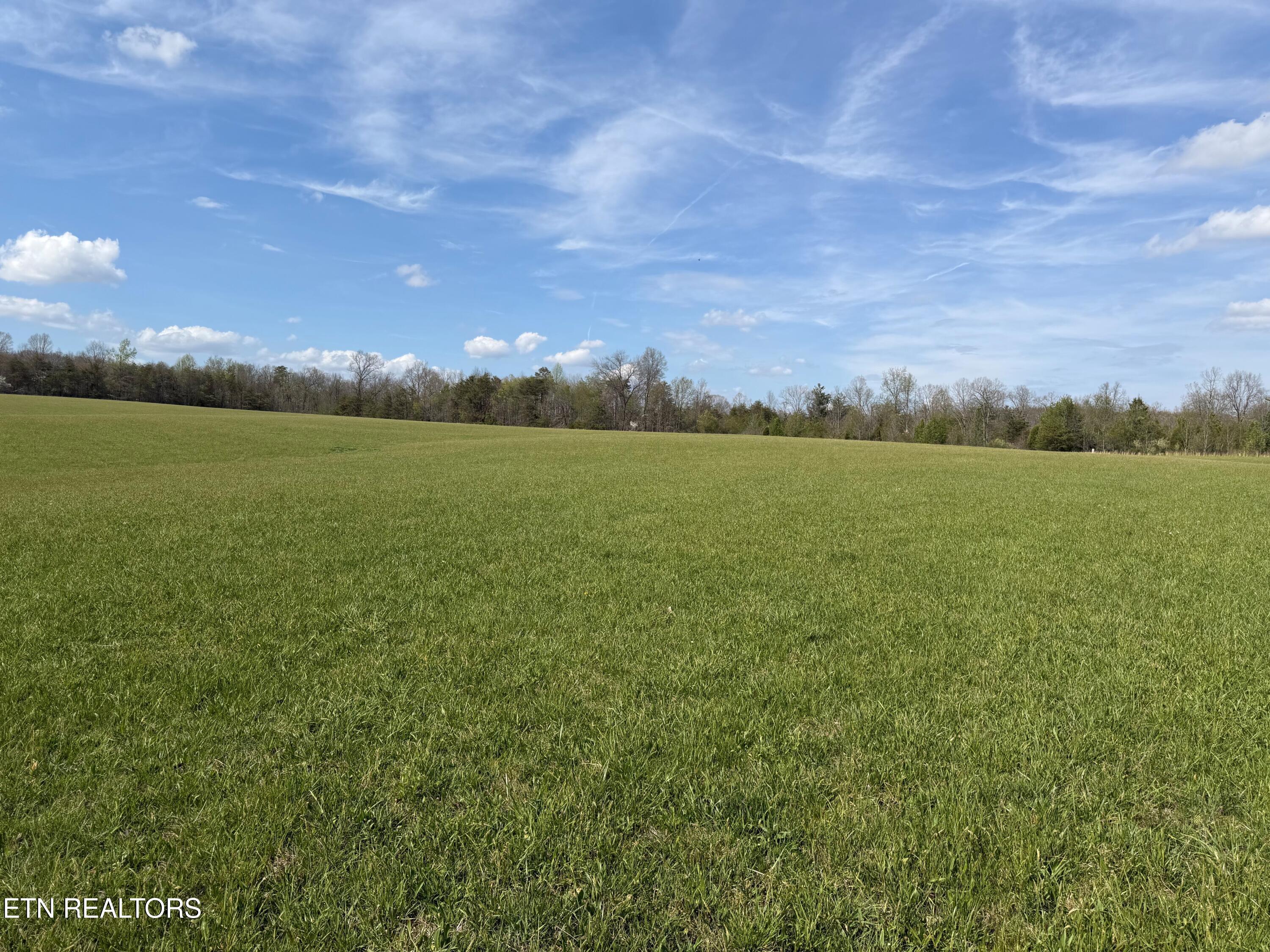 1342 Walt Reed Road Grandview TN 37337