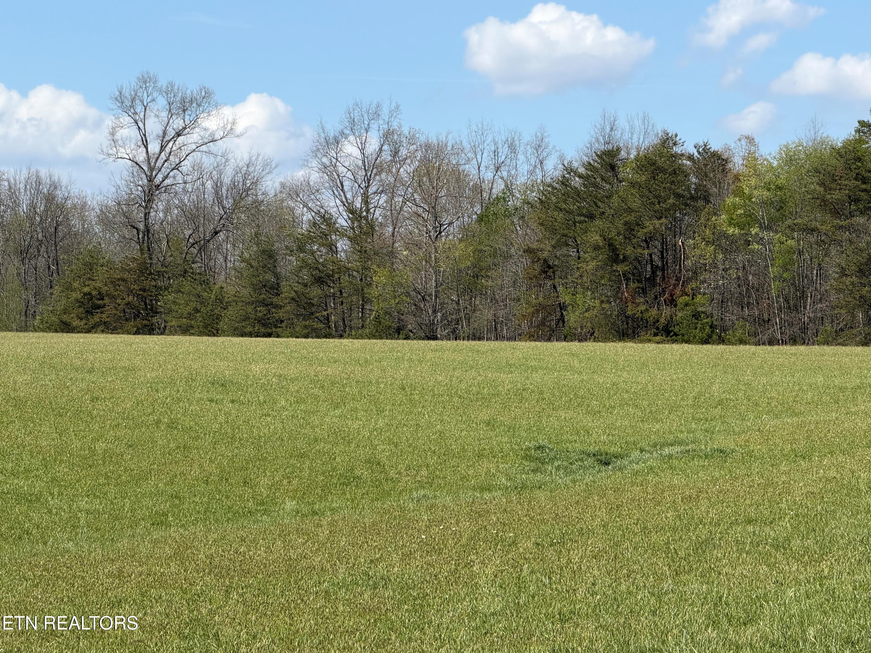 1342 Walt Reed Road Grandview TN 37337