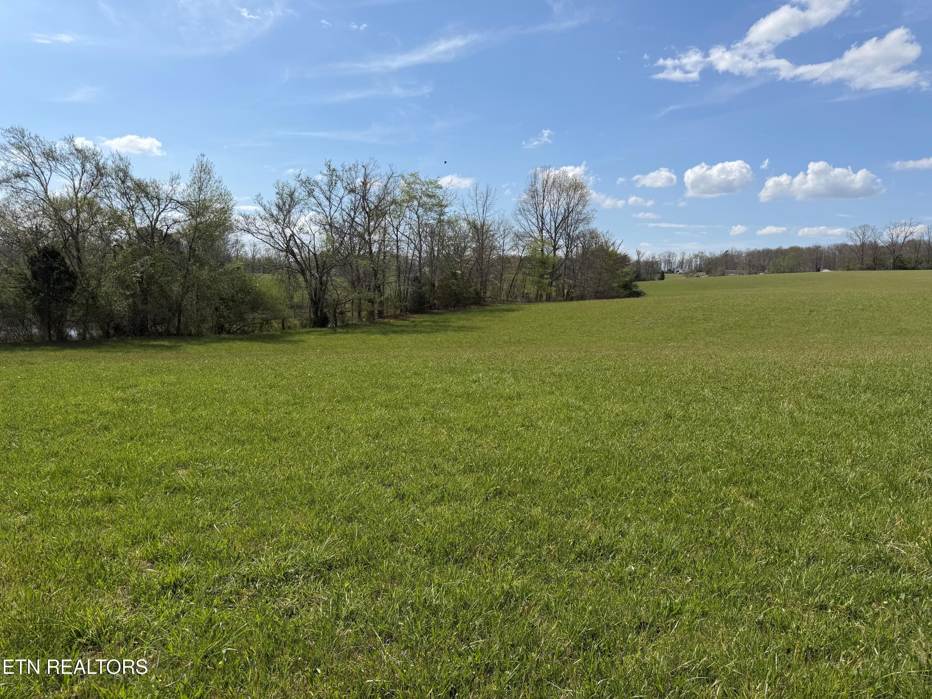 1342 Walt Reed Road Grandview TN 37337