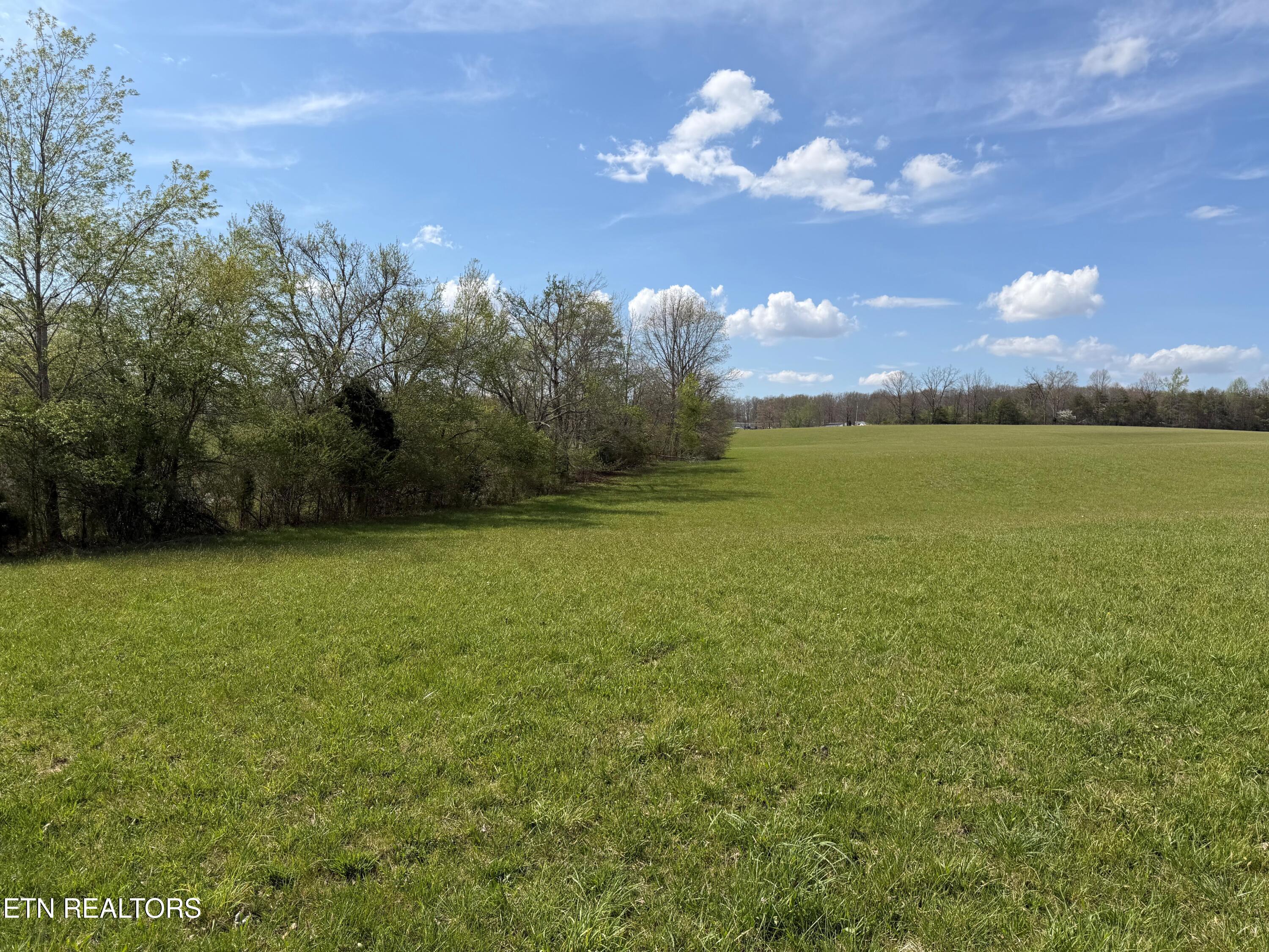 1342 Walt Reed Road Grandview TN 37337