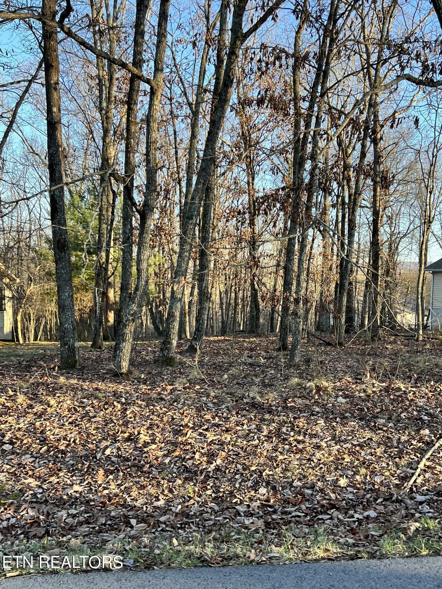 236 Amherst Lane Crossville TN 38558