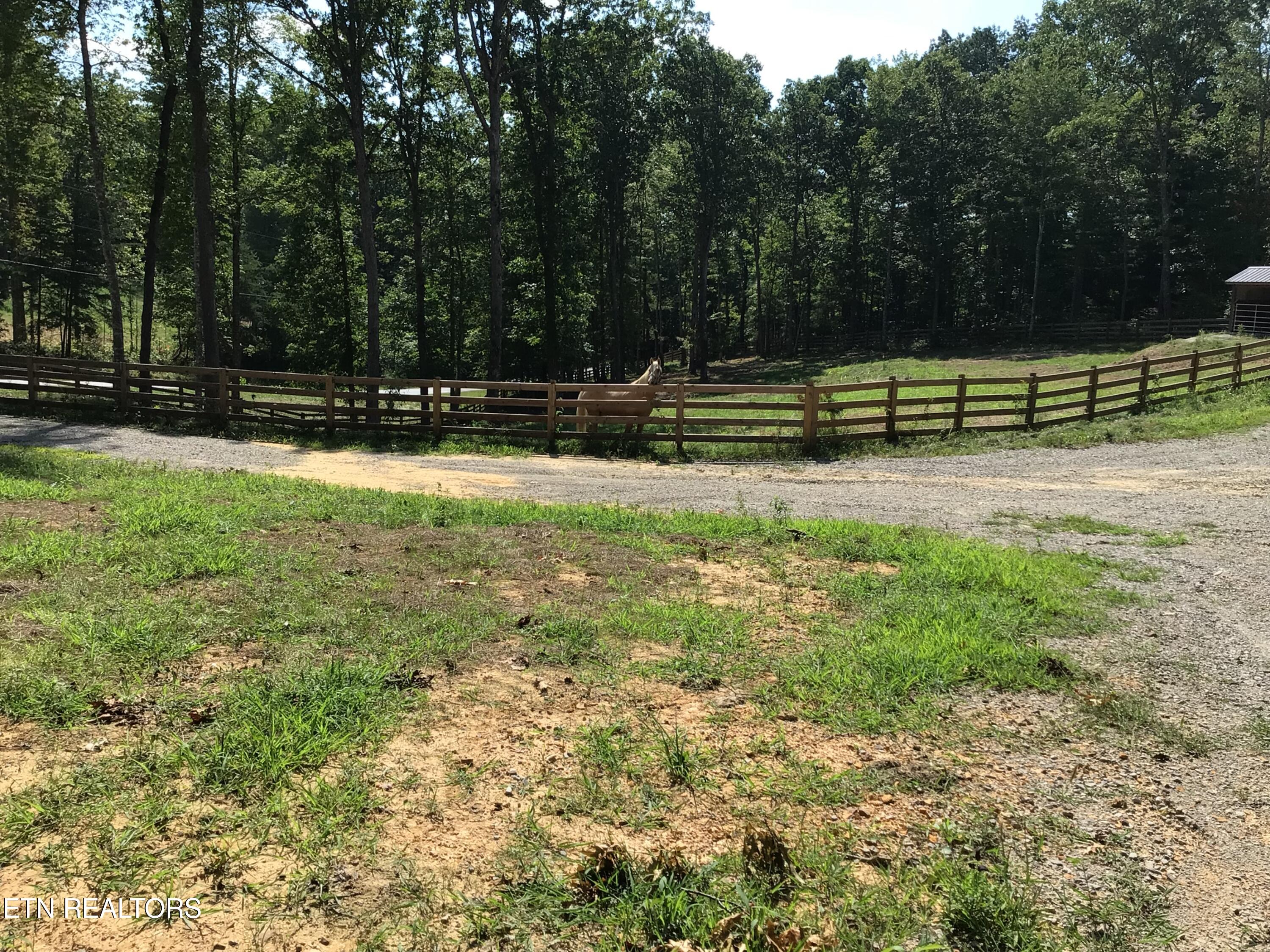 478 Spruce Creek Drive Jamestown TN 38556