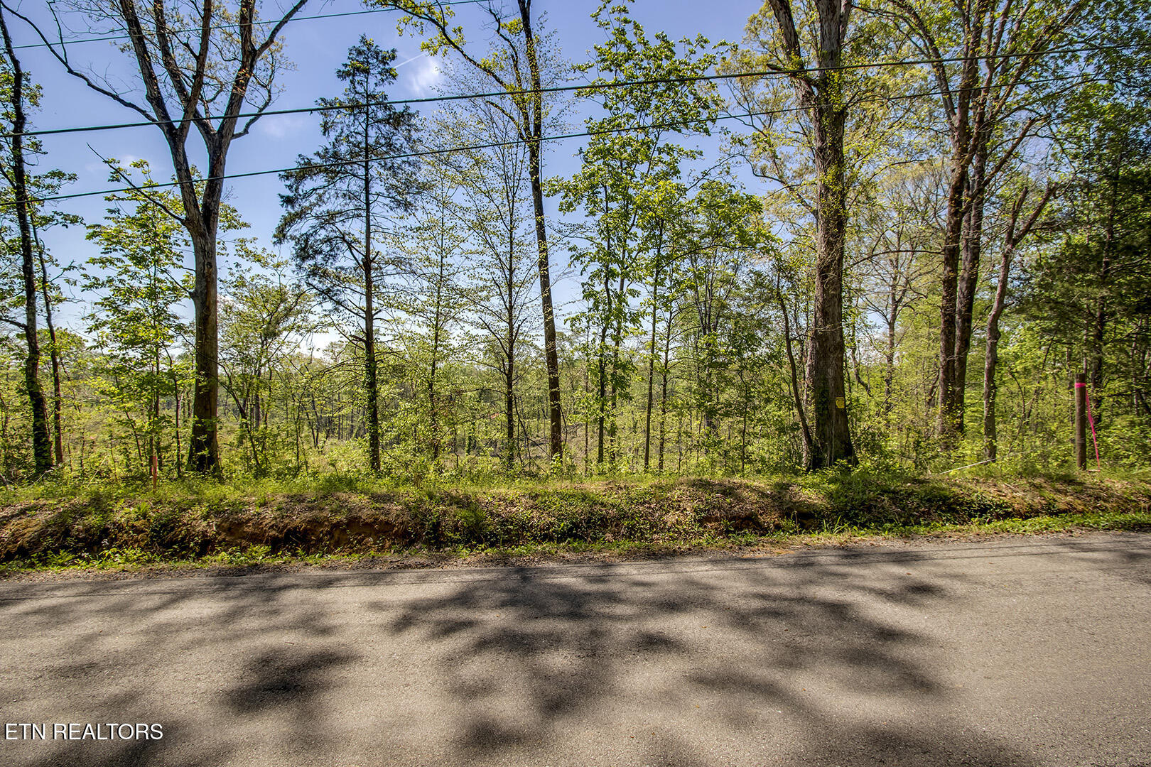 645 Oak Grove Road Decatur TN 37322