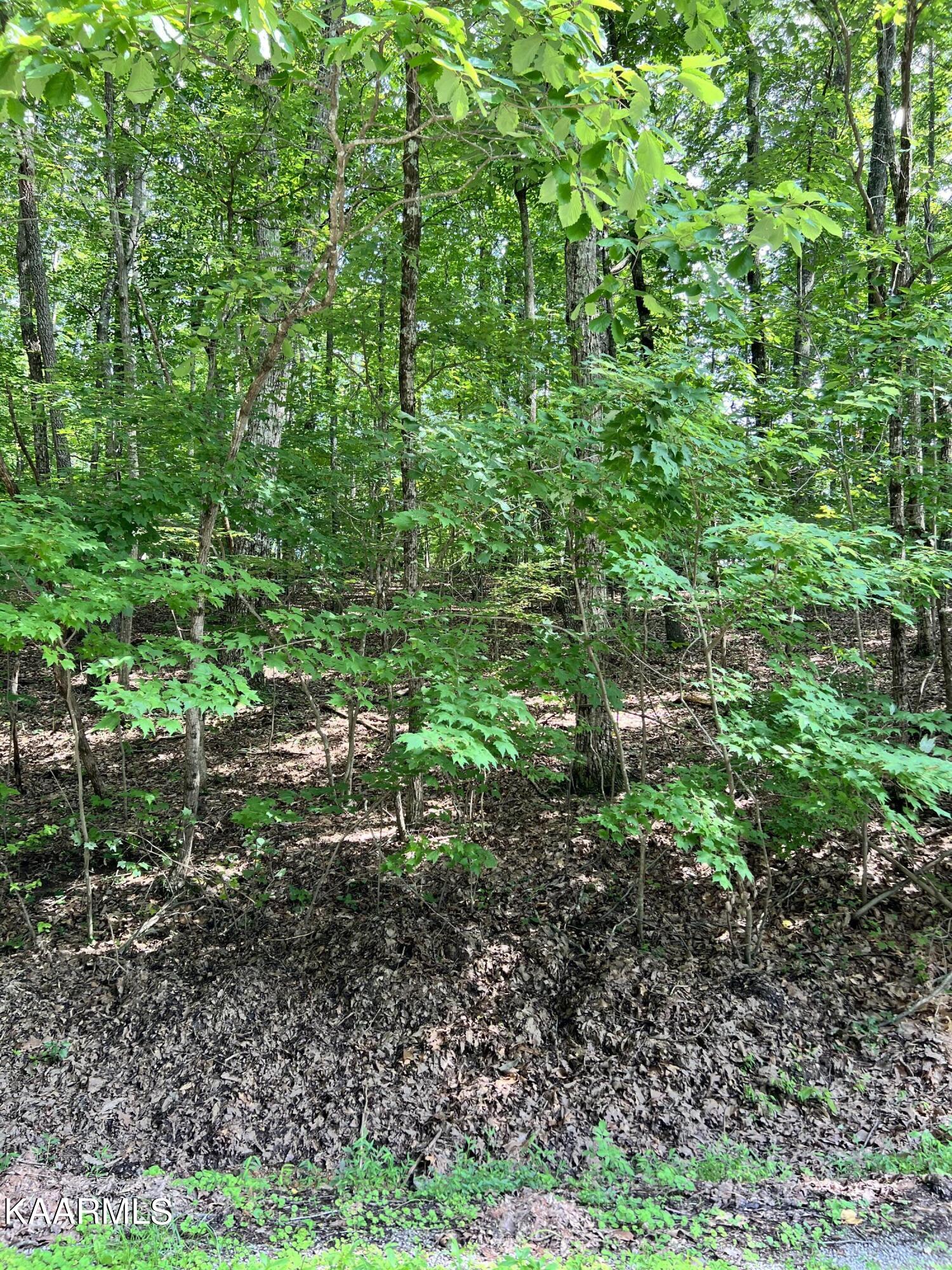 146 Shore Lane Crossville TN 38558