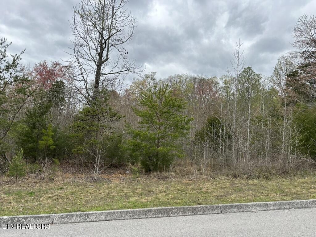 309 Caney View Drive Harriman TN 37748