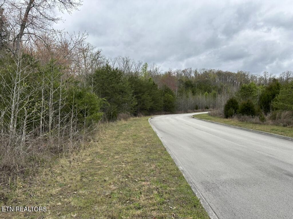 309 Caney View Drive Harriman TN 37748