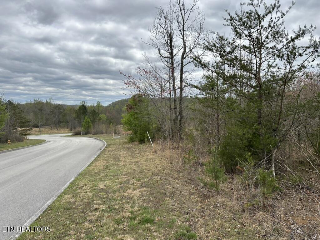 309 Caney View Drive Harriman TN 37748