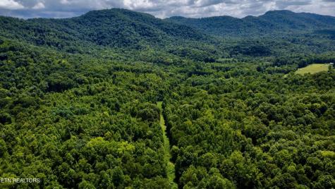 Rockhouse Creek - Church Road Pioneer TN 37847