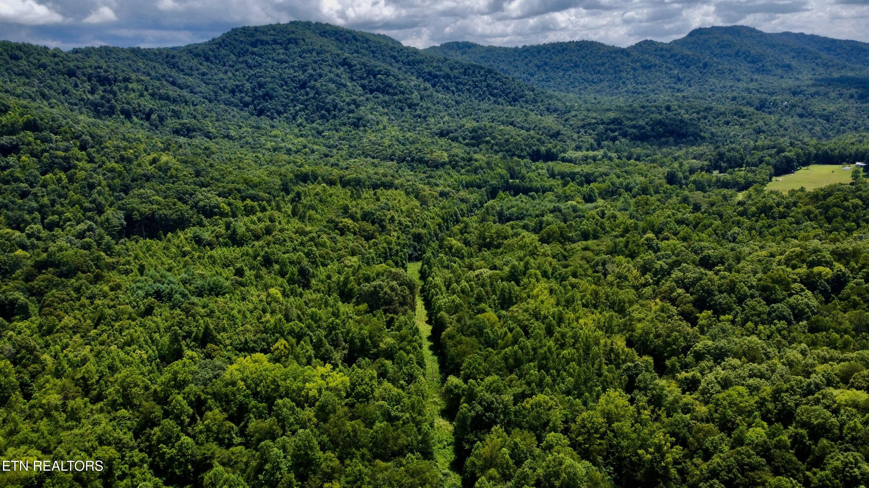 Rockhouse Creek - Church Road Pioneer TN 37847