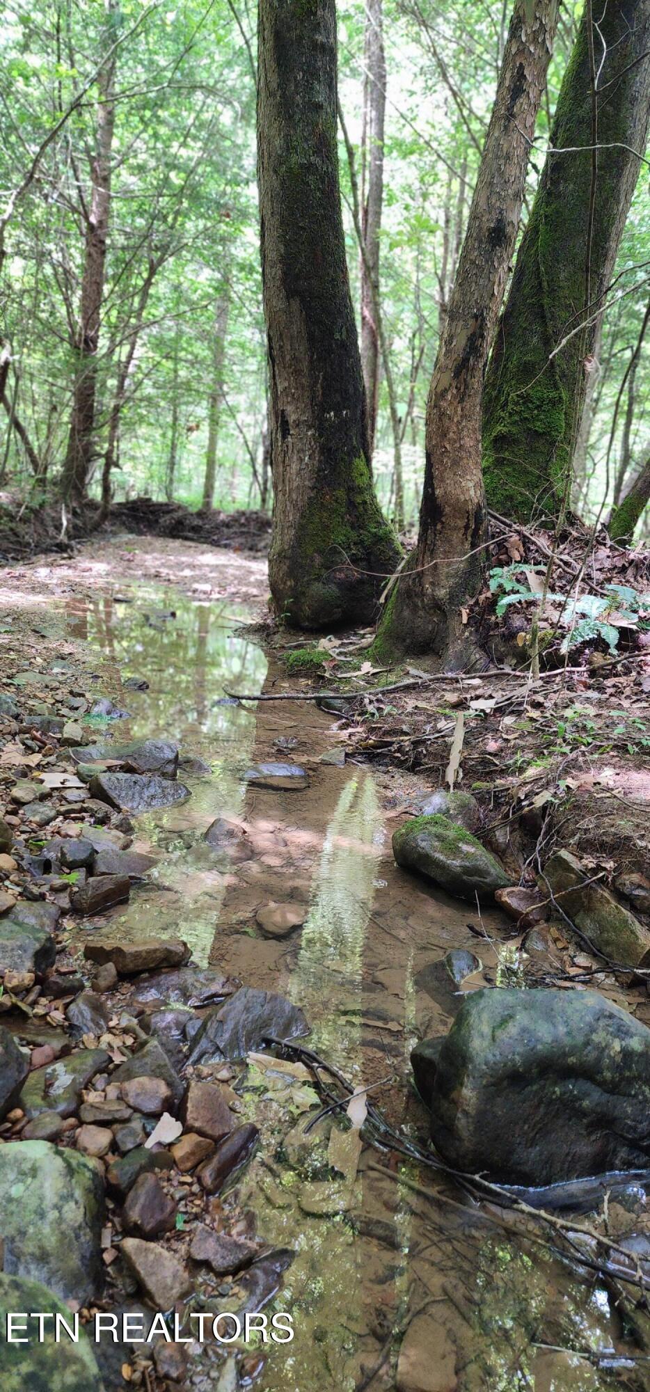 Rockhouse Creek - Church Road Pioneer TN 37847