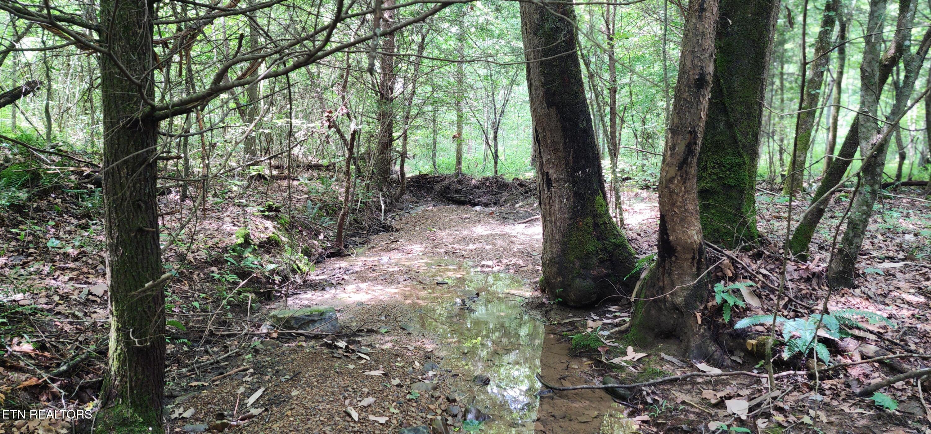 Rockhouse Creek - Church Road Pioneer TN 37847