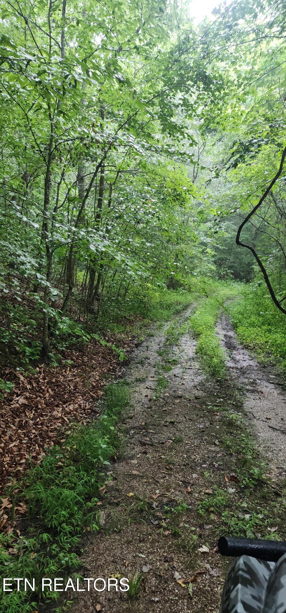 Rockhouse Creek - Church Road Pioneer TN 37847