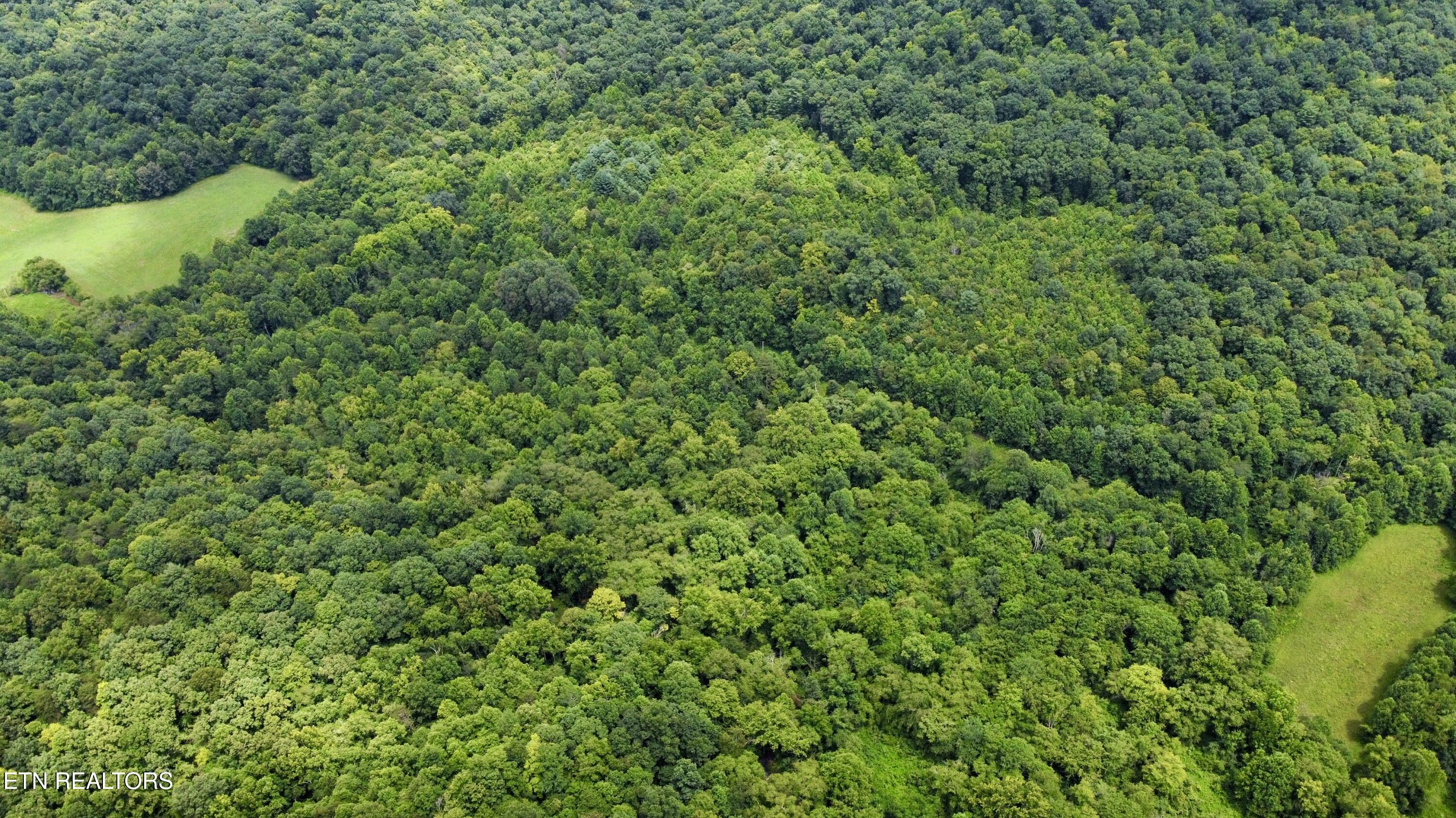 Rockhouse Creek - Church Road Pioneer TN 37847