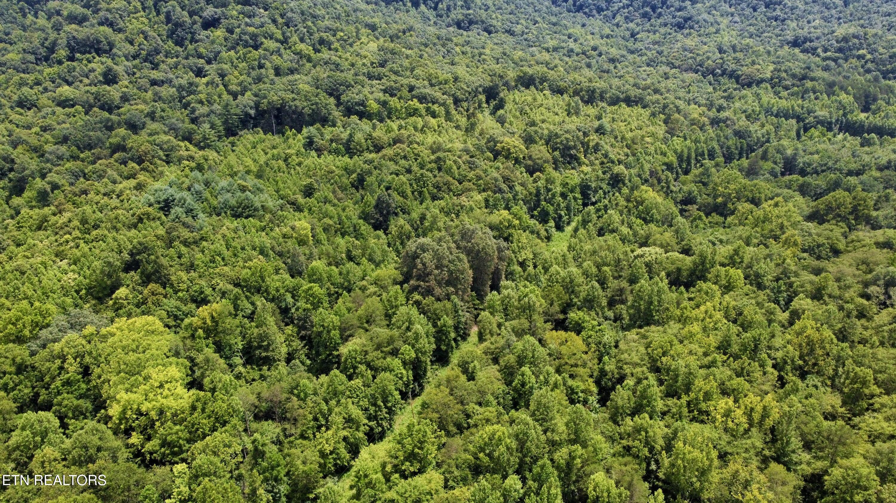 Rockhouse Creek - Church Road Pioneer TN 37847