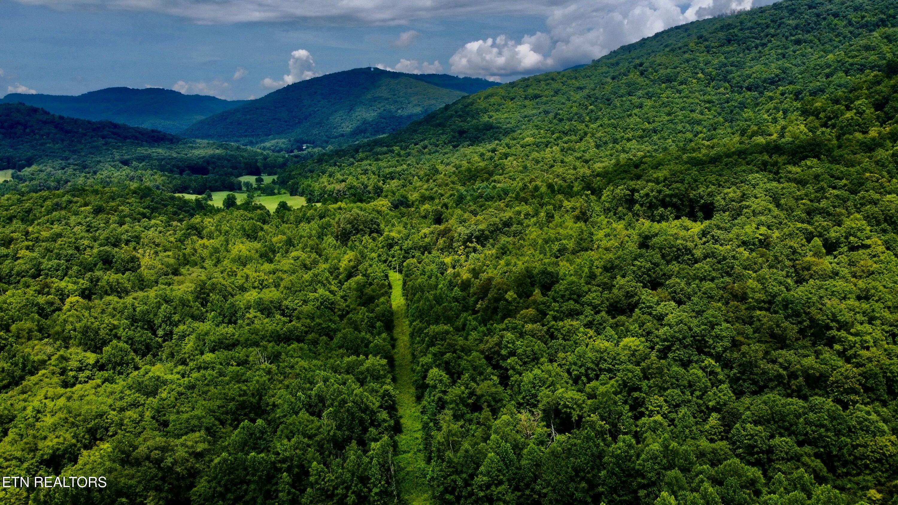 Rockhouse Creek - Church Road Pioneer TN 37847