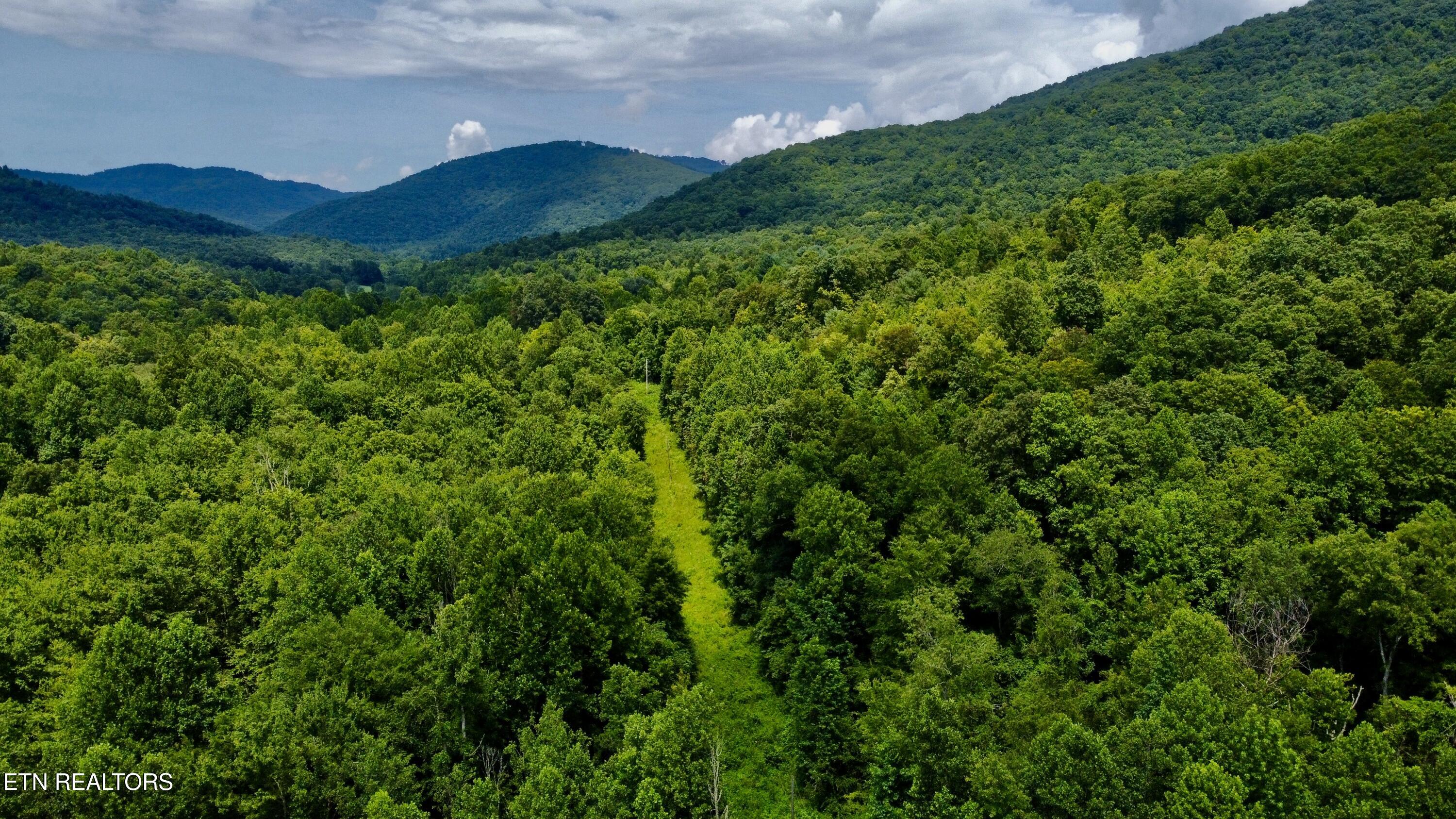 Rockhouse Creek - Church Road Pioneer TN 37847
