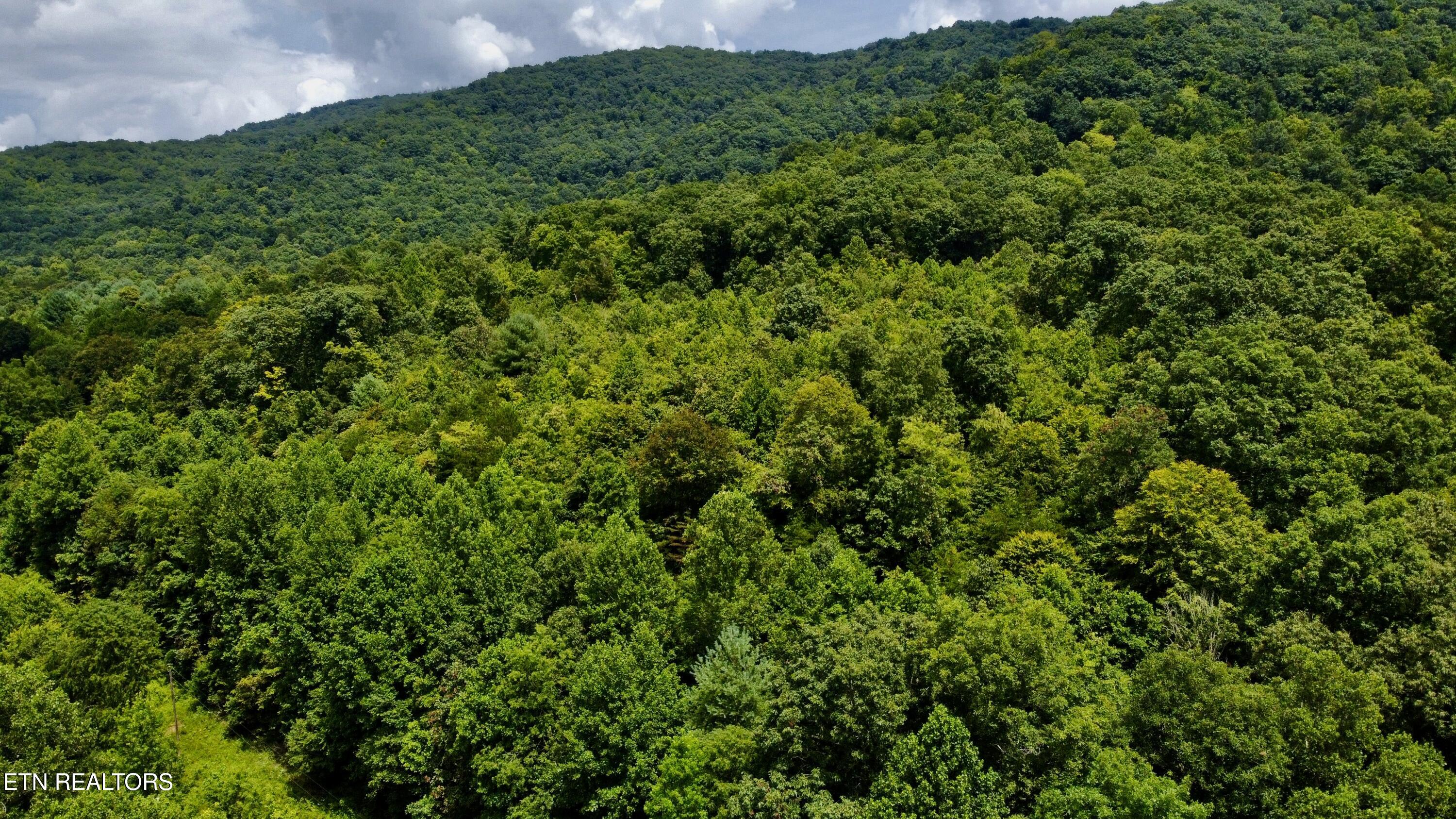 Rockhouse Creek - Church Road Pioneer TN 37847