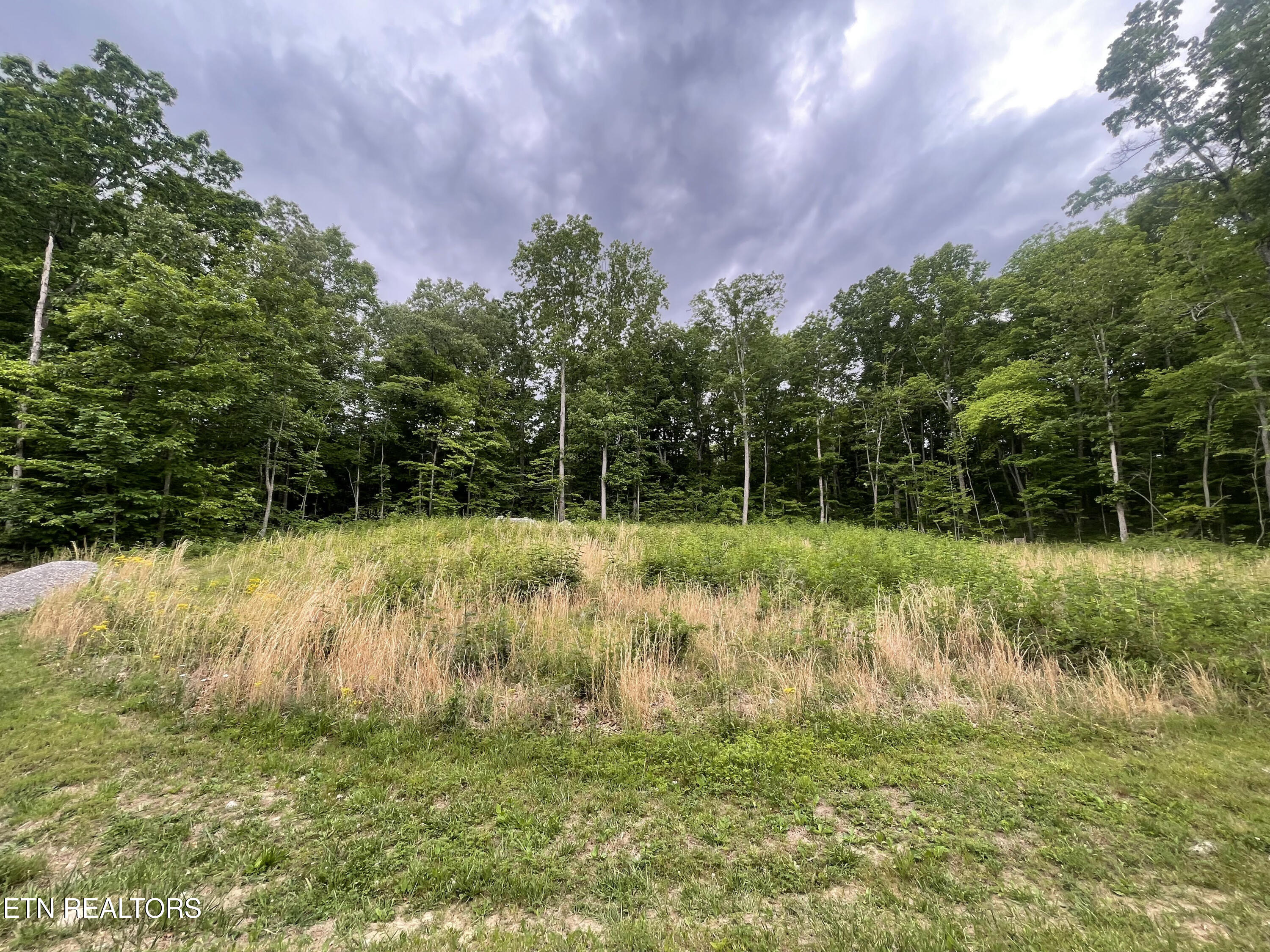 Willow Ridge Drive Crossville TN 38571
