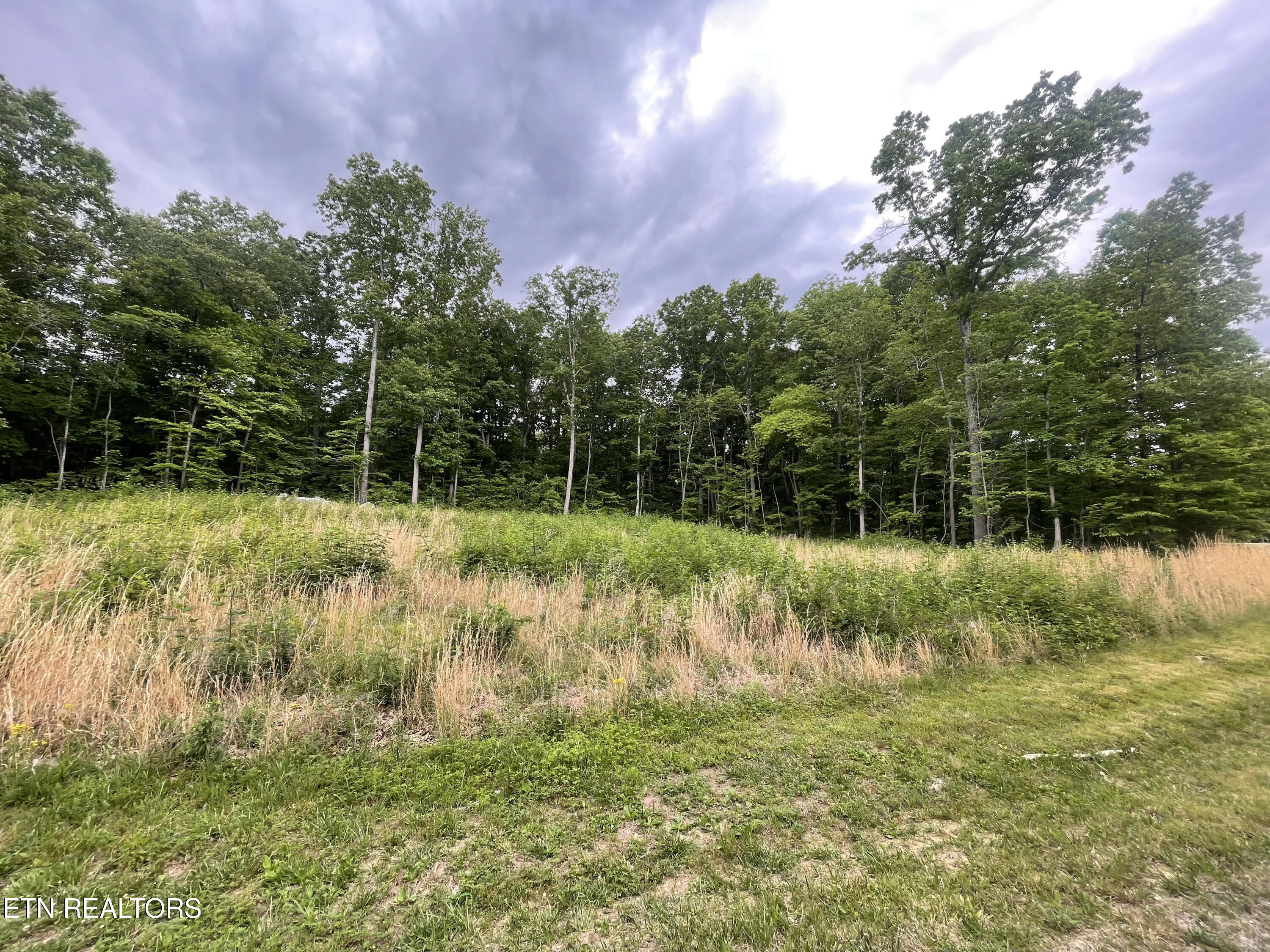 Willow Ridge Drive Crossville TN 38571