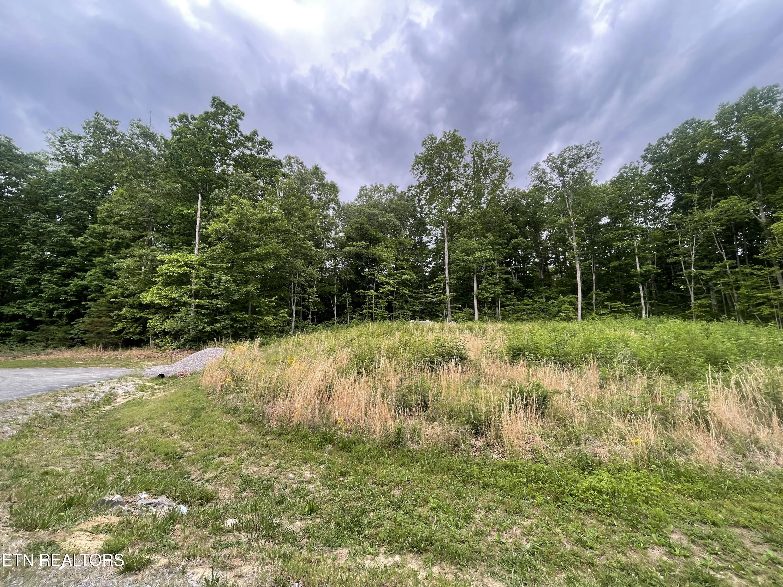 Willow Ridge Drive Crossville TN 38571