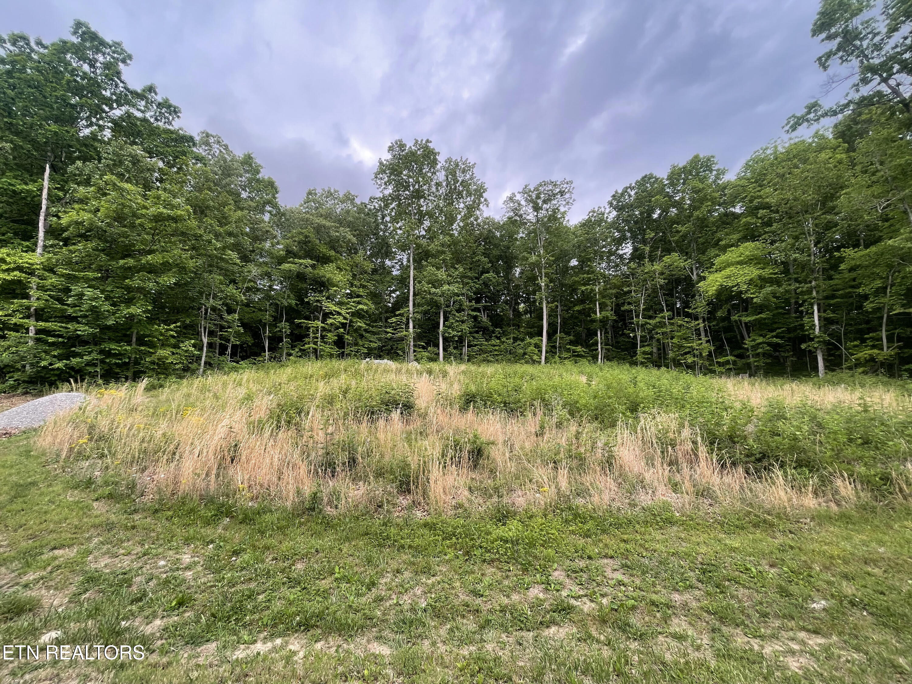 Willow Ridge Drive Crossville TN 38571