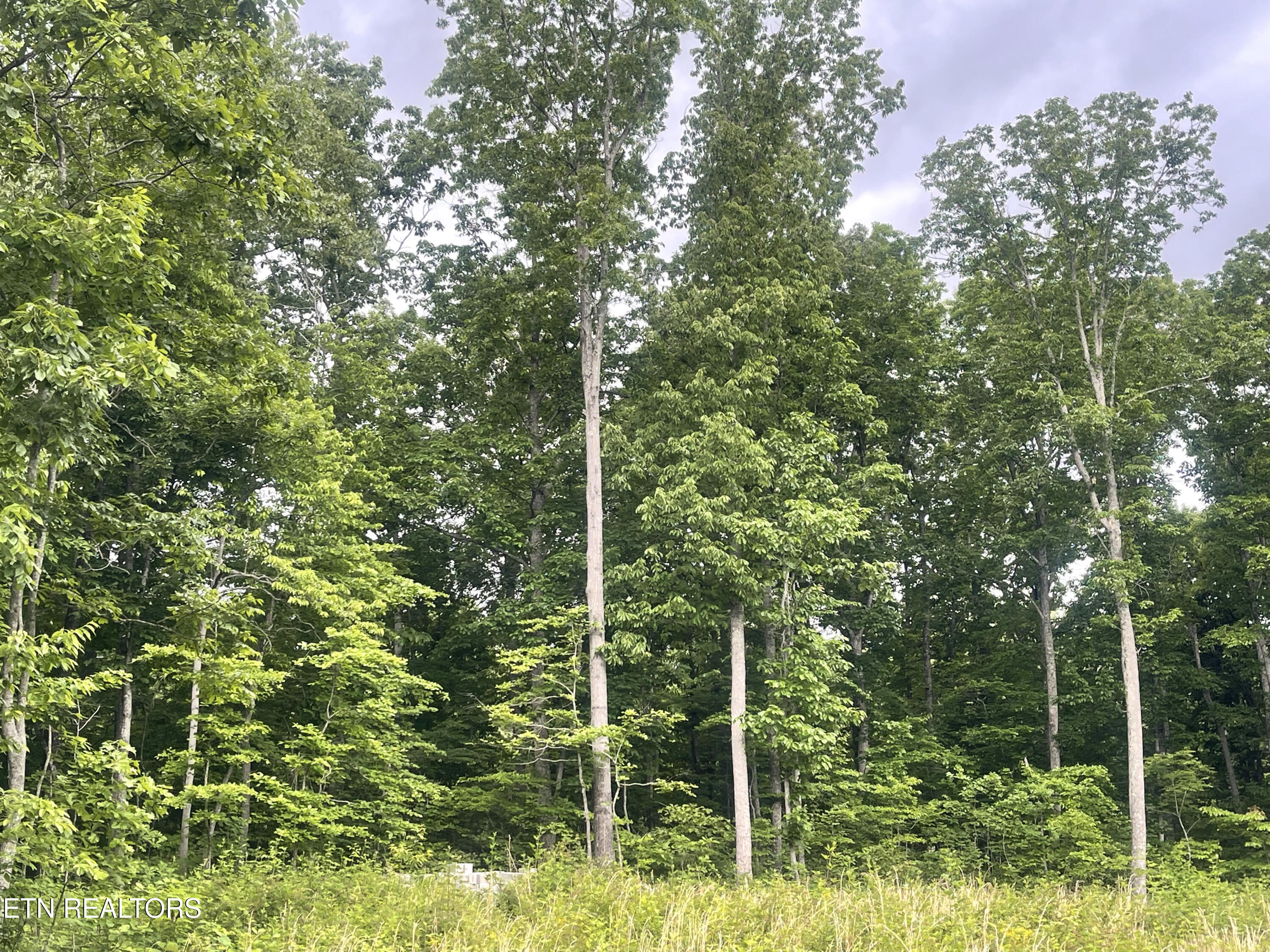 Willow Ridge Drive Crossville TN 38571