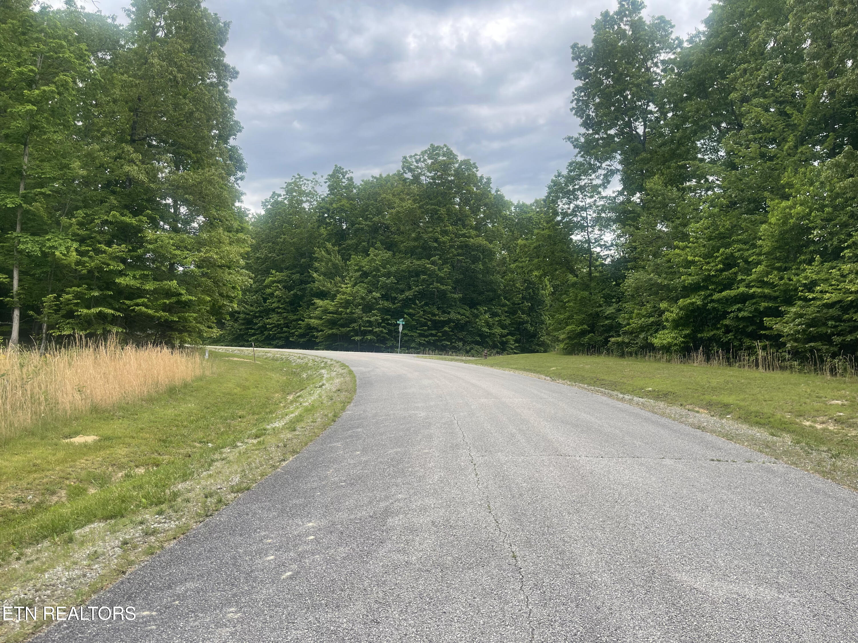 Willow Ridge Drive Crossville TN 38571
