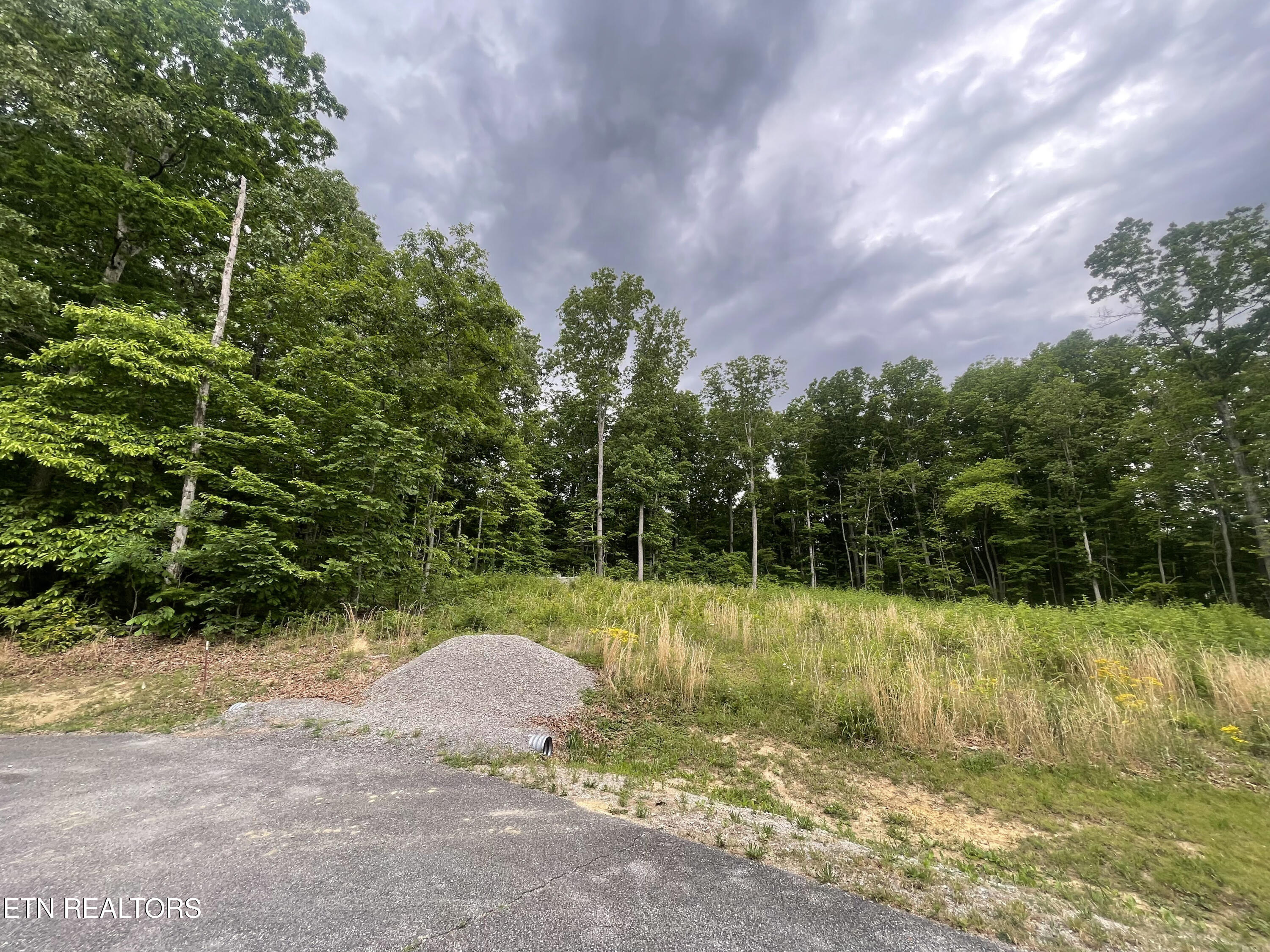 Willow Ridge Drive Crossville TN 38571