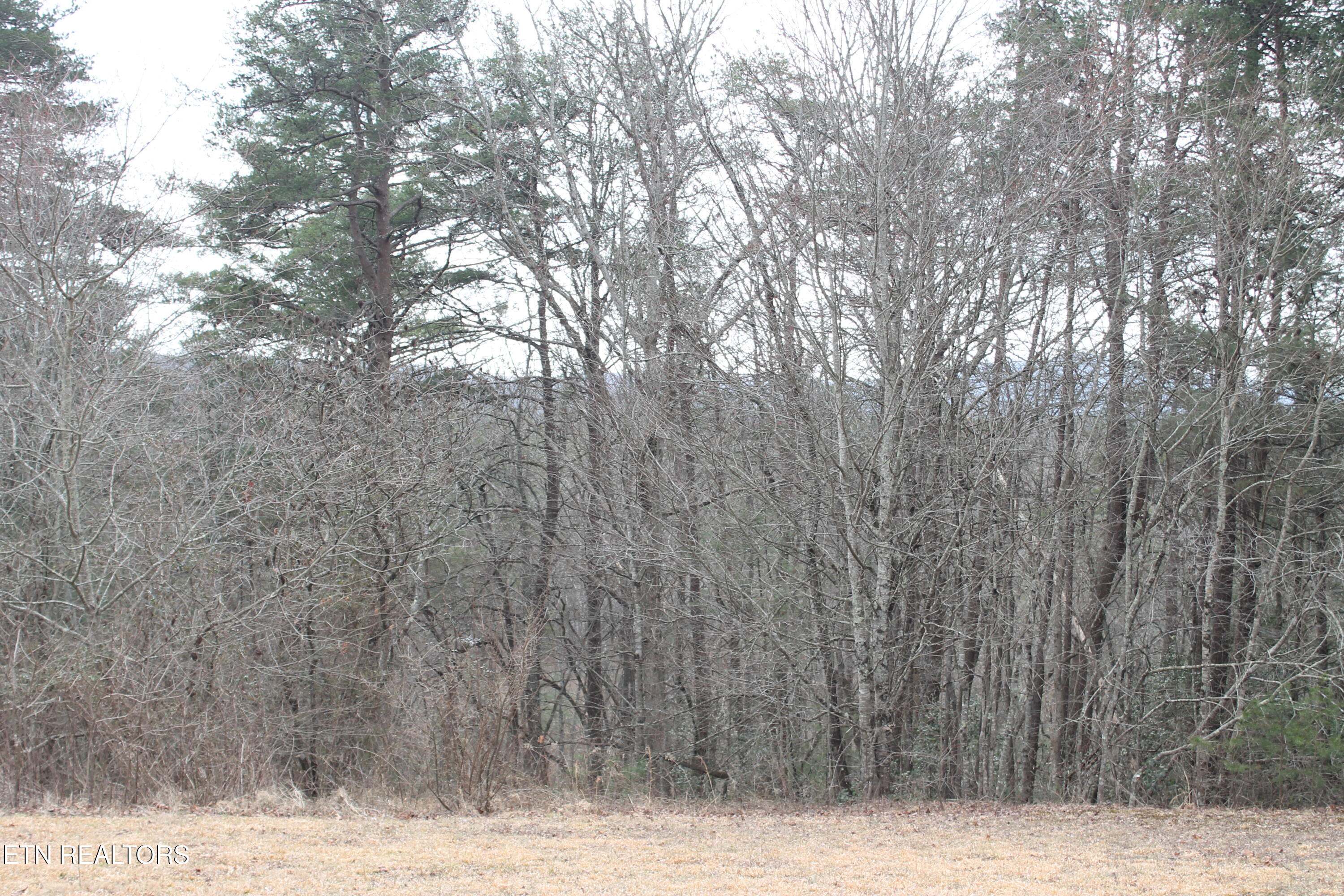 Meridian Road Crossville TN 38555